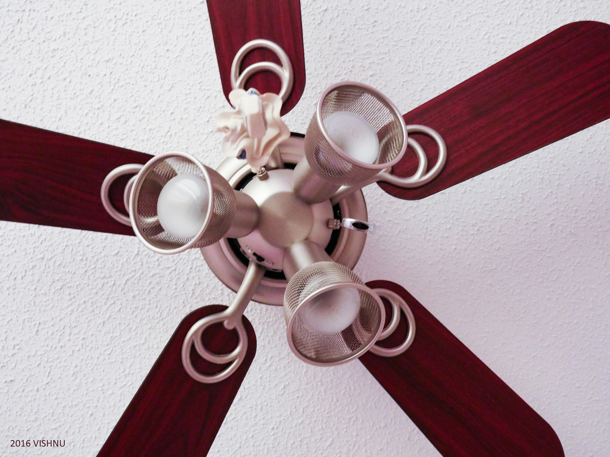 Panasonic Lumix DMC-GH4 + LUMIX G 20/F1.7 II sample photo. Fan.jpg photography