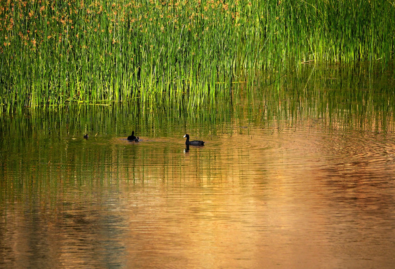 Panasonic Lumix DMC-GH3 sample photo. Orange river 2 photography
