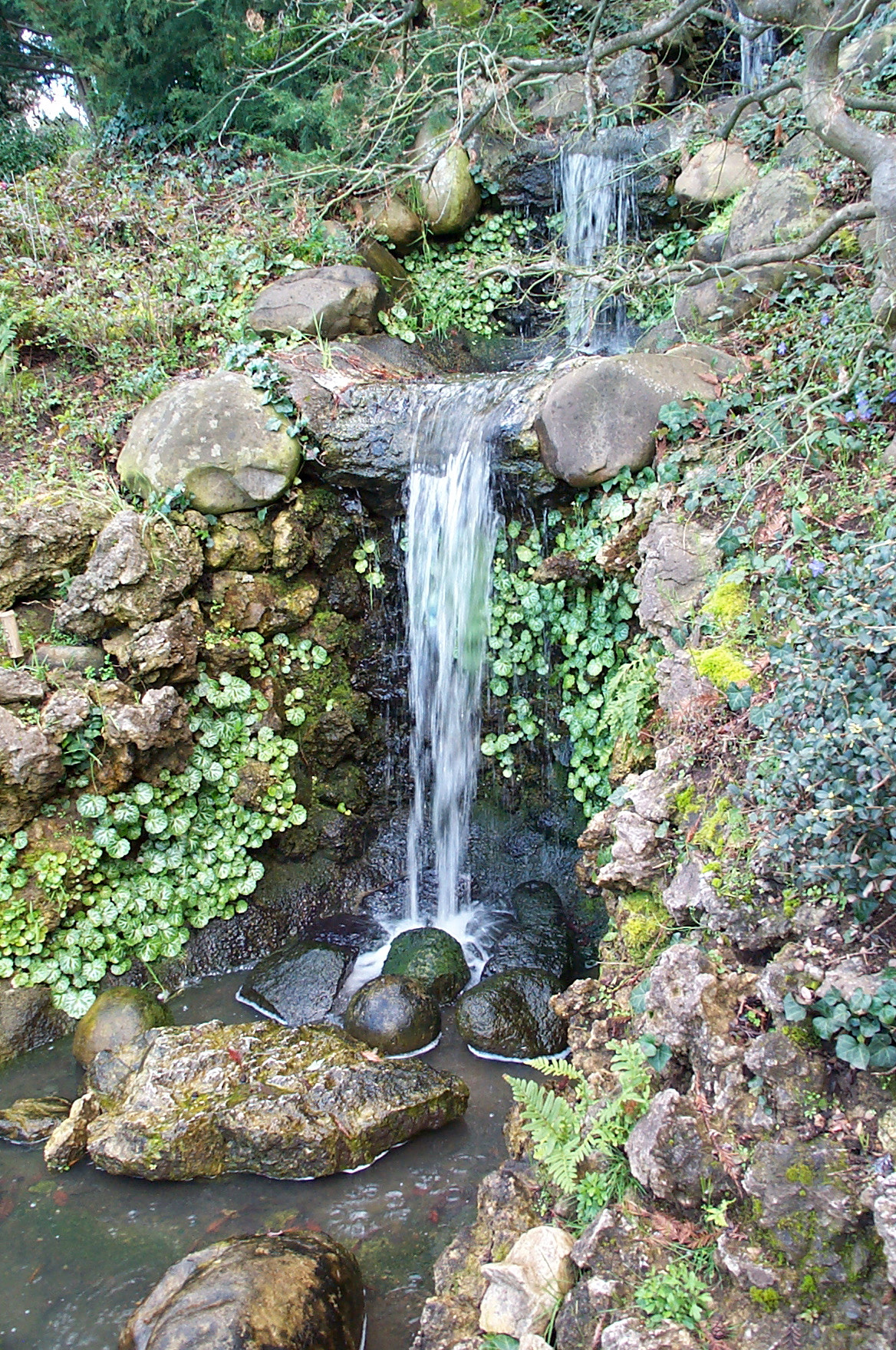 Kodak DC280 ZOOM DIGITAL CAMERA sample photo. Hakone gardens - 4 photography