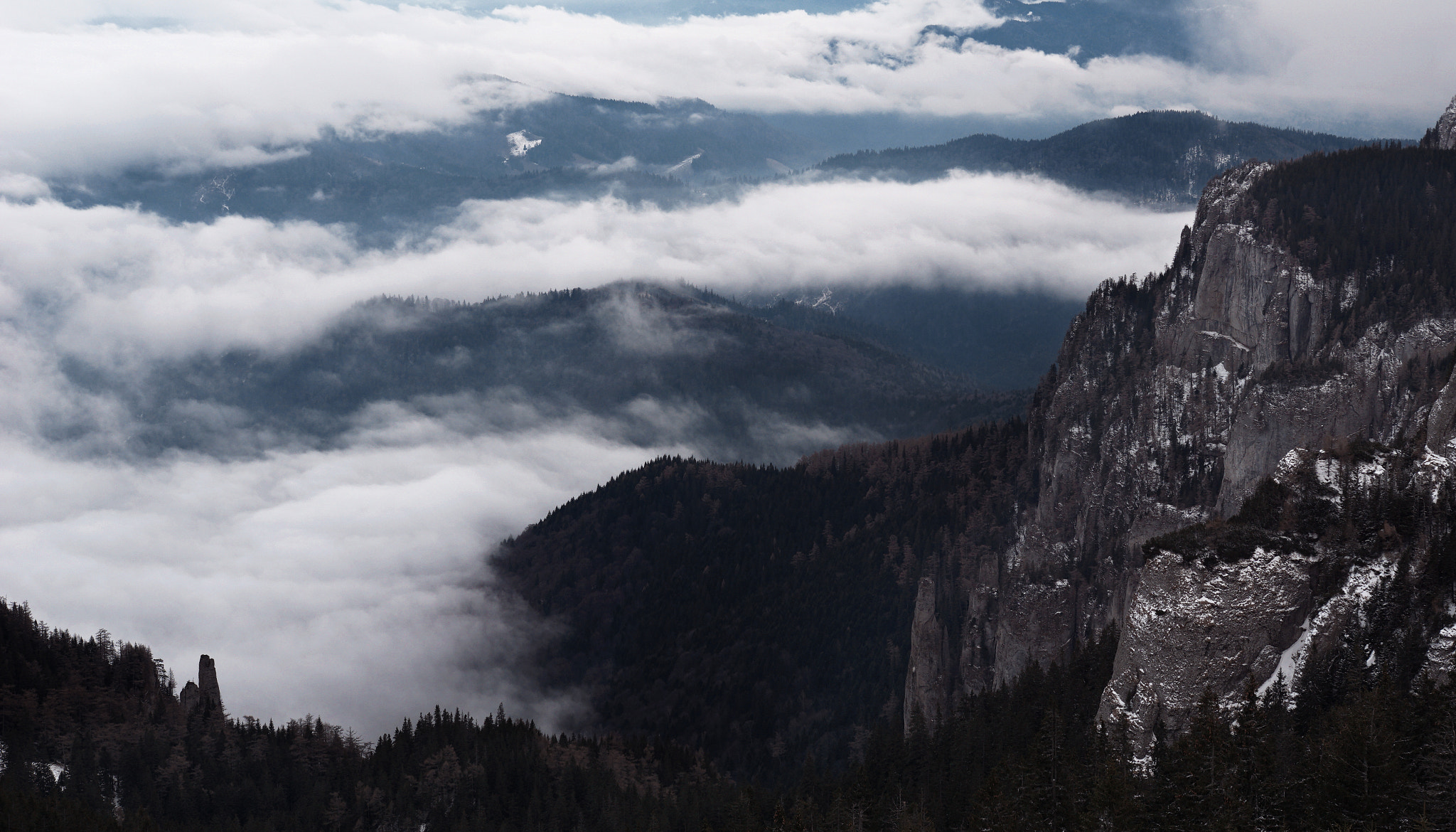 Sony DT 50mm F1.8 SAM sample photo. Rise above photography