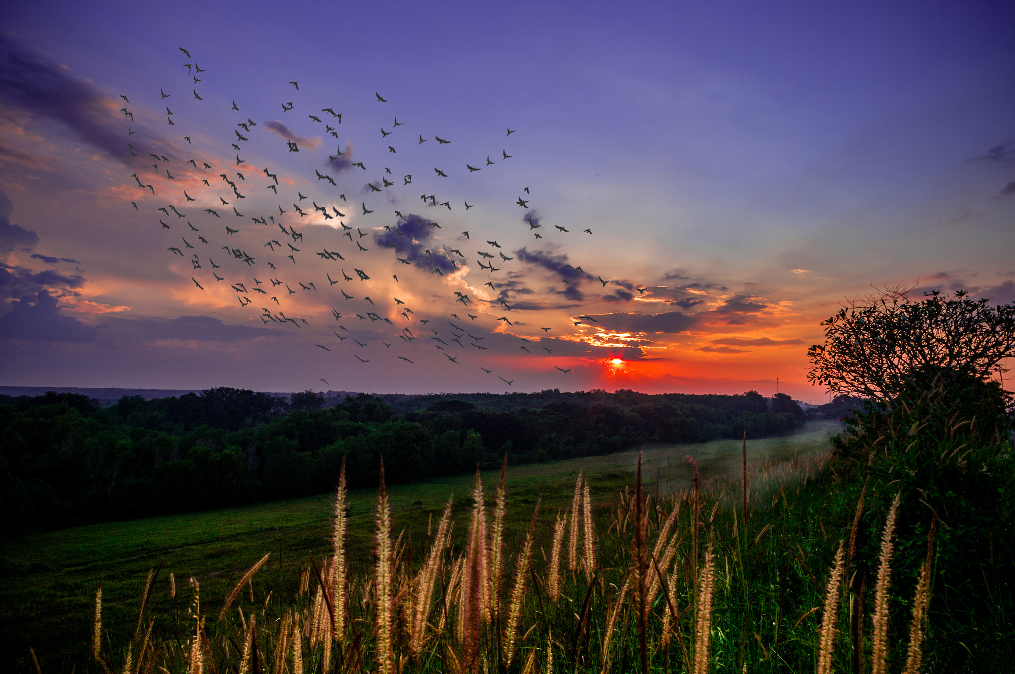 Pentax K20D sample photo. Hoang hon k ck photography