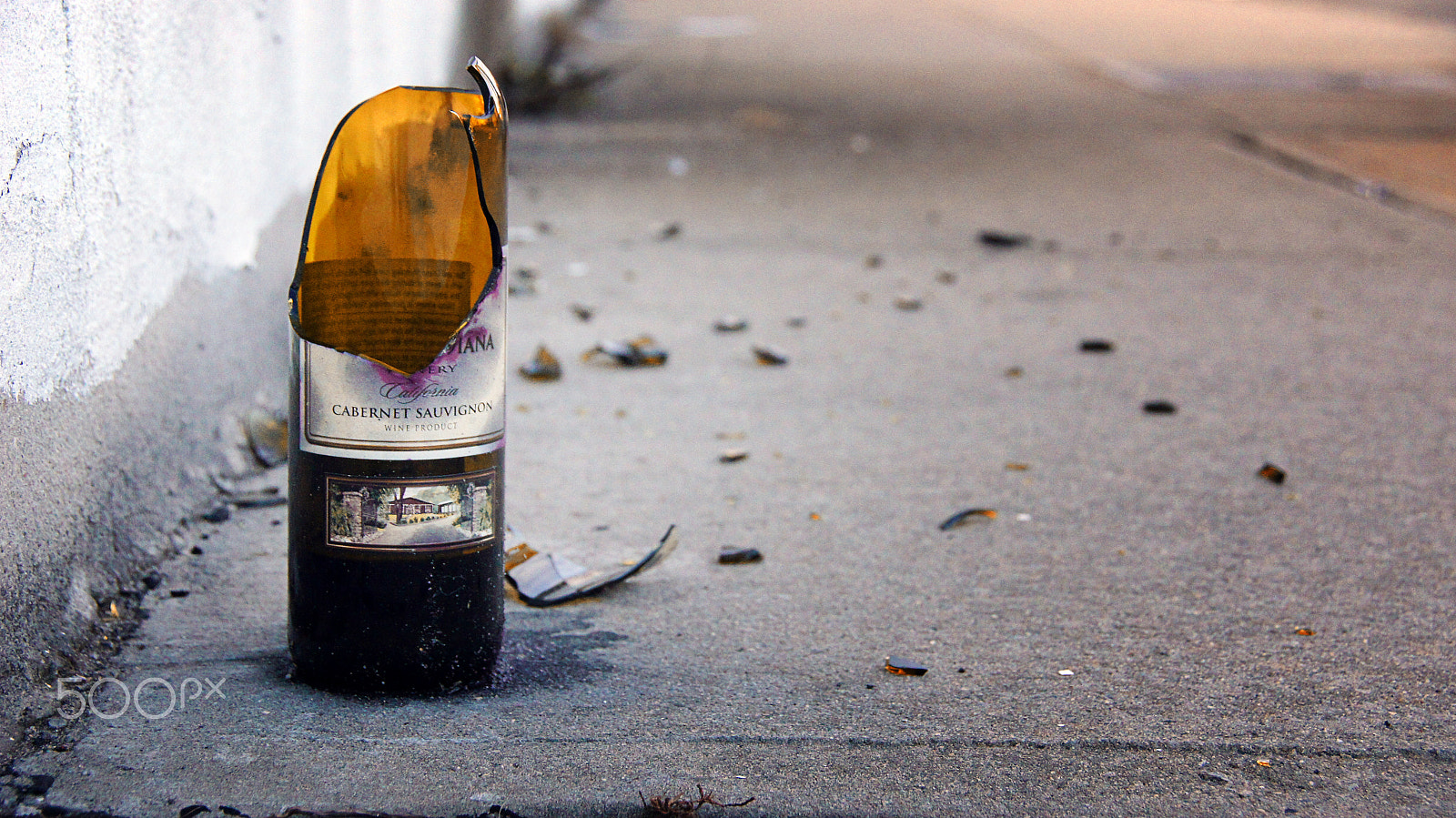 Sony SLT-A55 (SLT-A55V) sample photo. Cabernet sauvignon photography