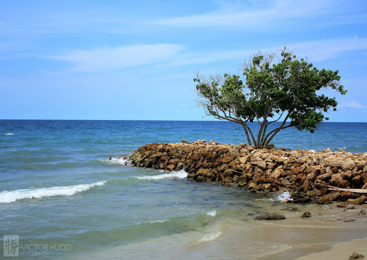 Canon EF-S 18-55mm F3.5-5.6 sample photo. Anclados en el mar photography