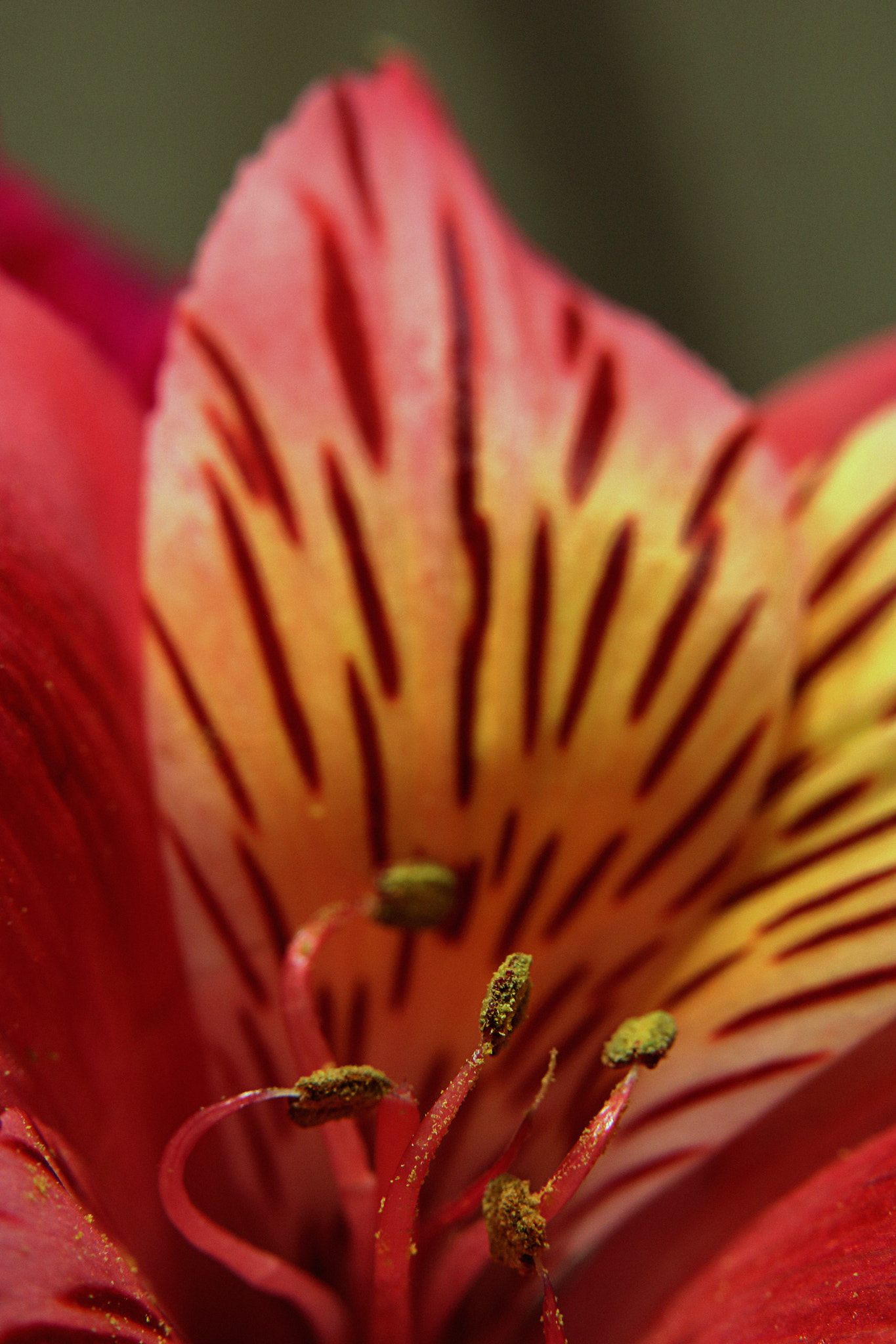 Canon EOS 760D (EOS Rebel T6s / EOS 8000D) sample photo. Alstro photography