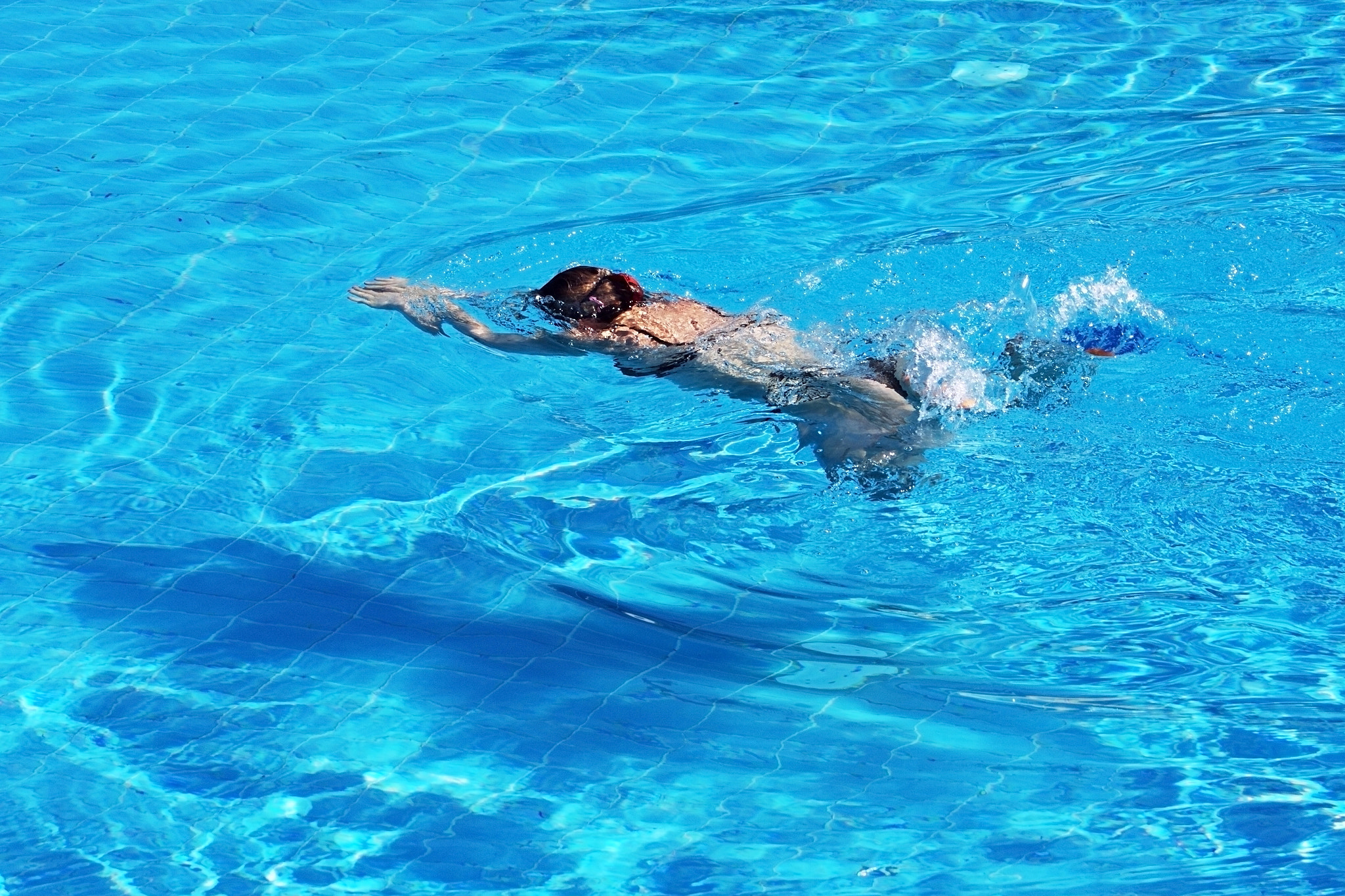 Canon EF 70-300mm F4.5-5.6 DO IS USM sample photo. Swimswim.jpg photography