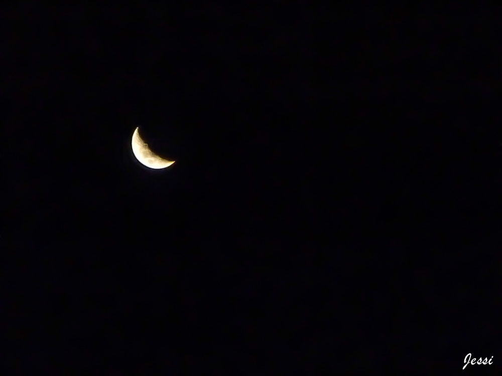 Panasonic DMC-ZR1 sample photo. Little crescent photography