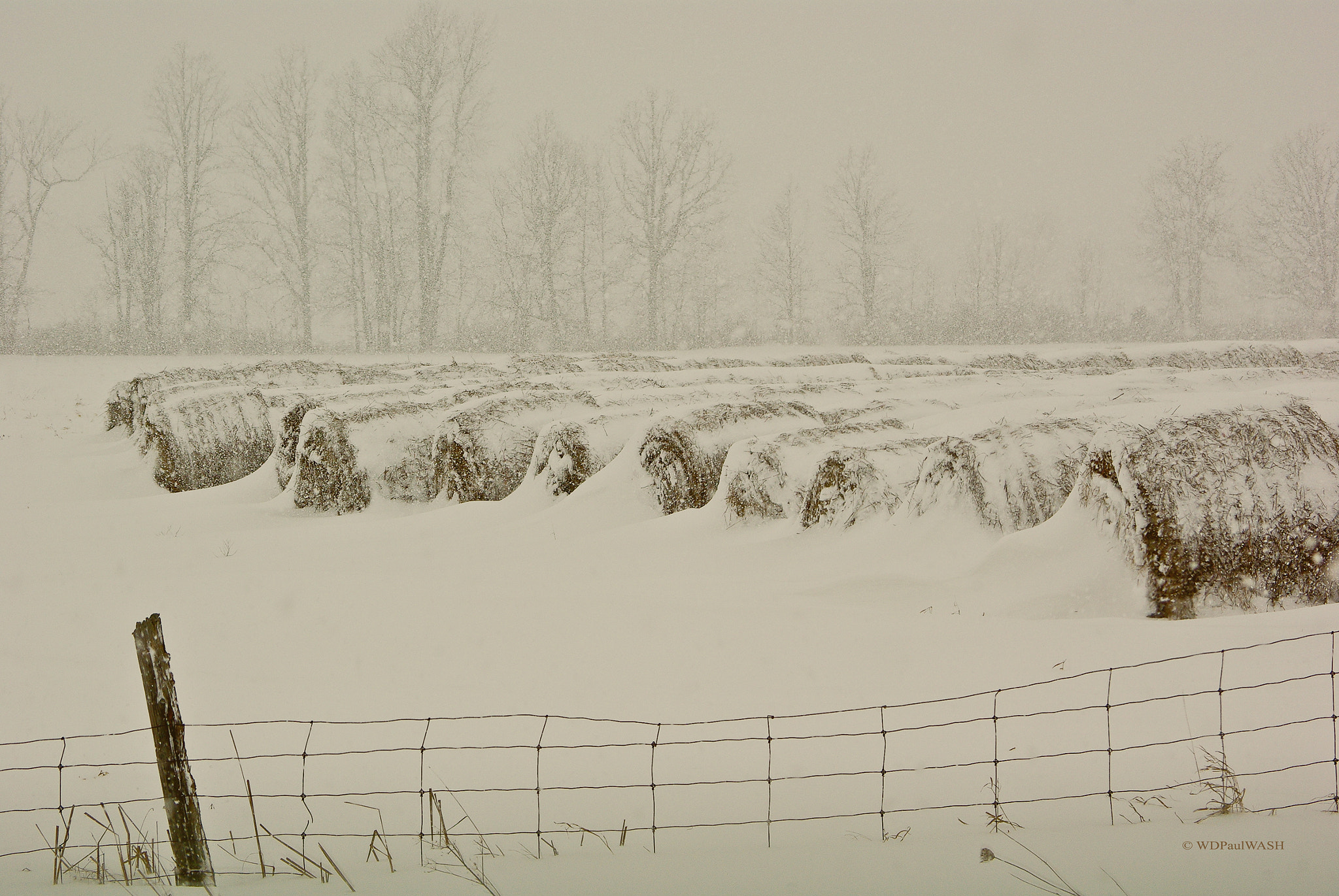 Pentax smc DA 50-200mm F4-5.6 ED sample photo. Winter bales (sepia) photography