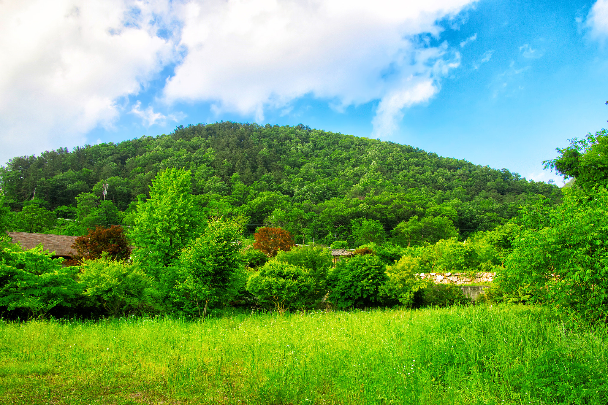 Olympus PEN E-P5 + Panasonic Lumix G 14mm F2.5 ASPH sample photo. Peaceful village photography