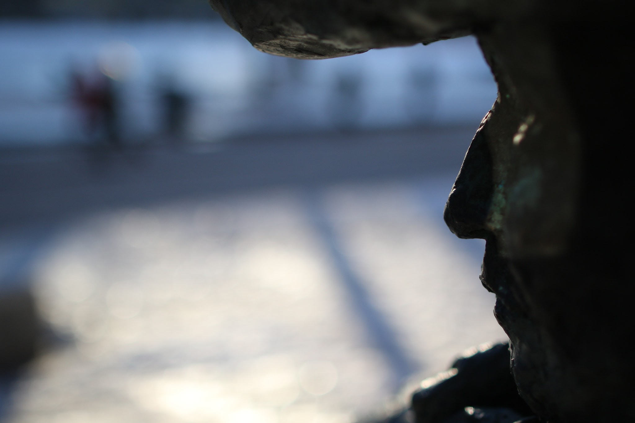 Canon EF 24mm F1.4L II USM sample photo. Mcgill statue face profile photography