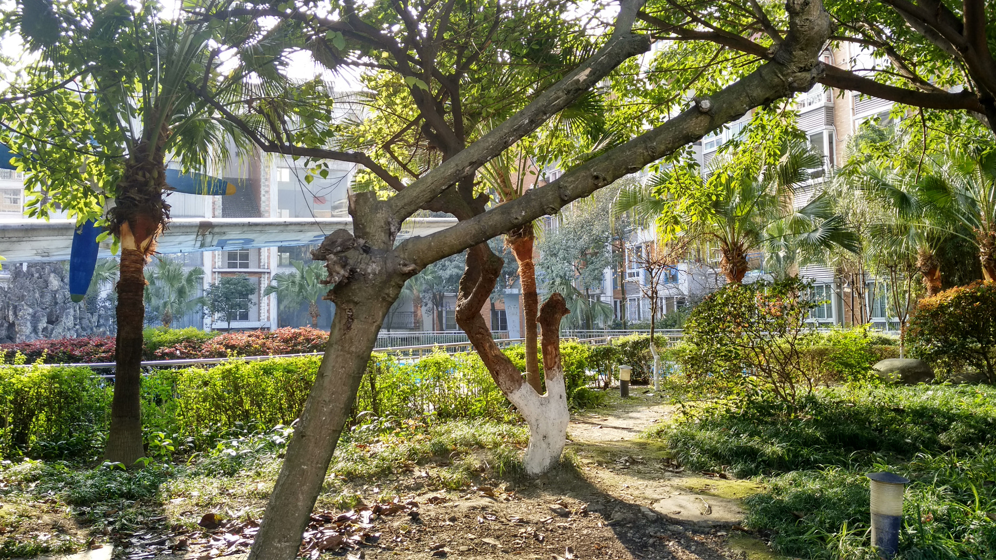 Xiaomi MI NOTE Pro sample photo. Sunshine٩(๑^o^๑)۶ photography