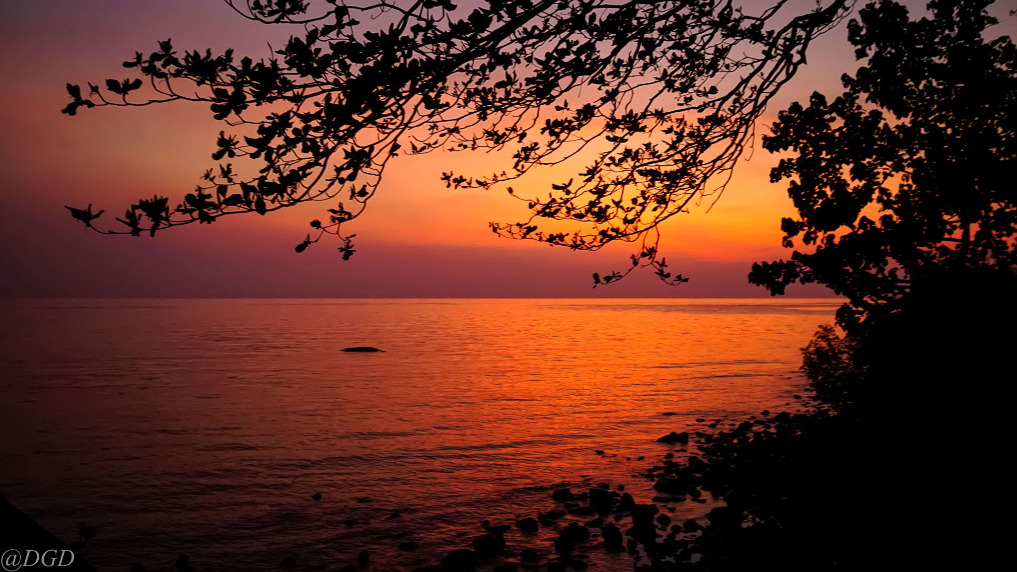 Sony a5100 + Sigma 19mm F2.8 EX DN sample photo. View from my bungalow! photography