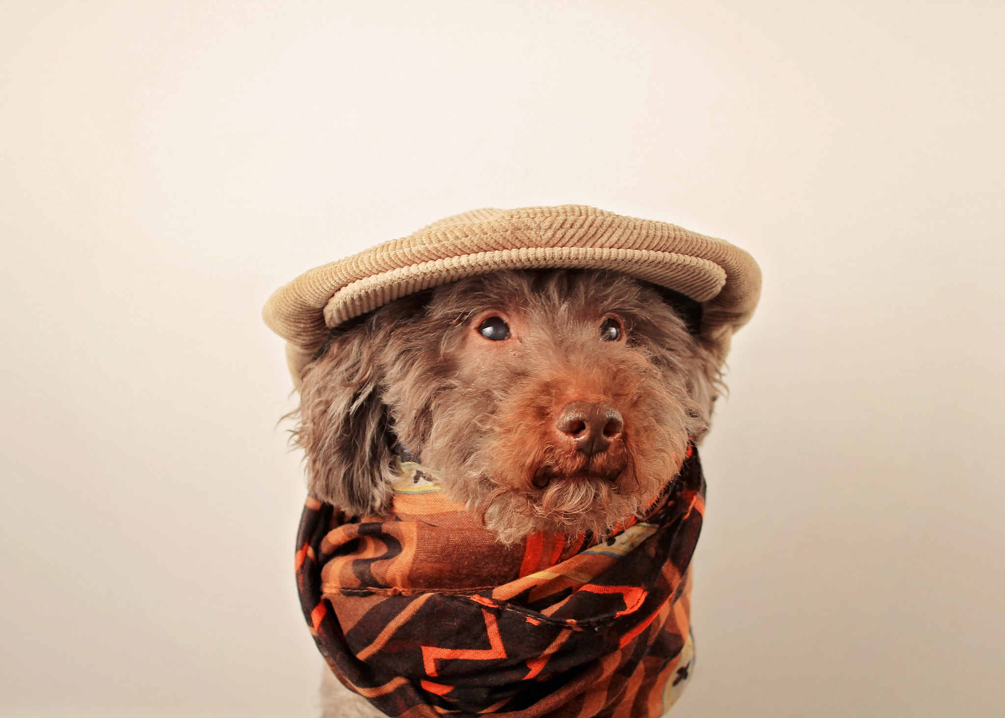 Canon EF 28-80mm f/3.5-5.6 sample photo. Boyboy dressed for fall photography