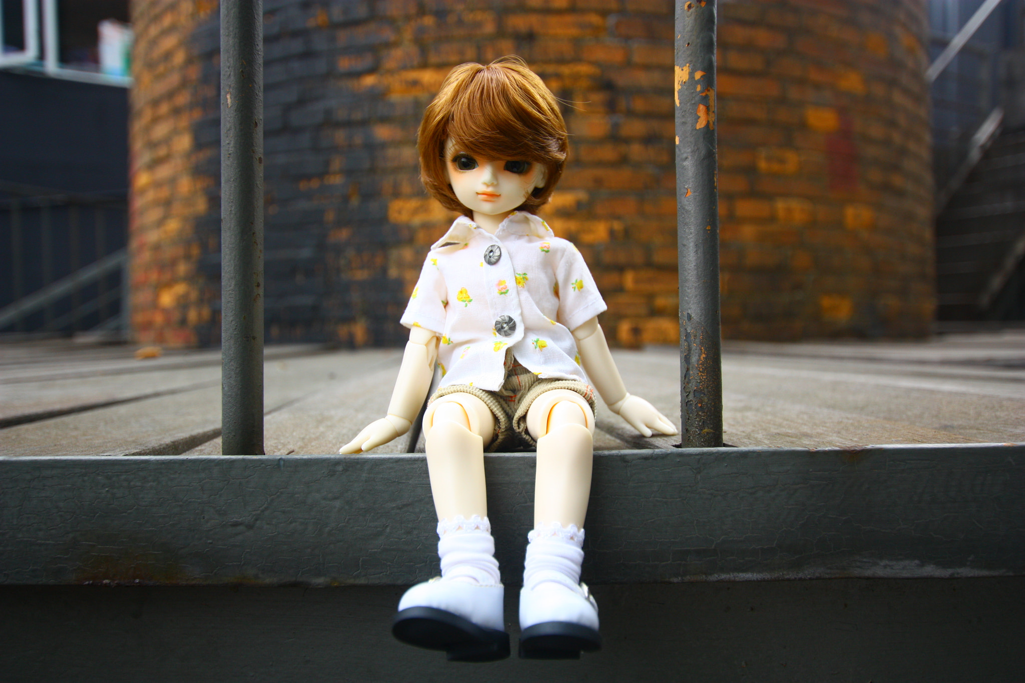 Sigma 10-20mm F3.5 EX DC HSM sample photo. Lovely toy photography