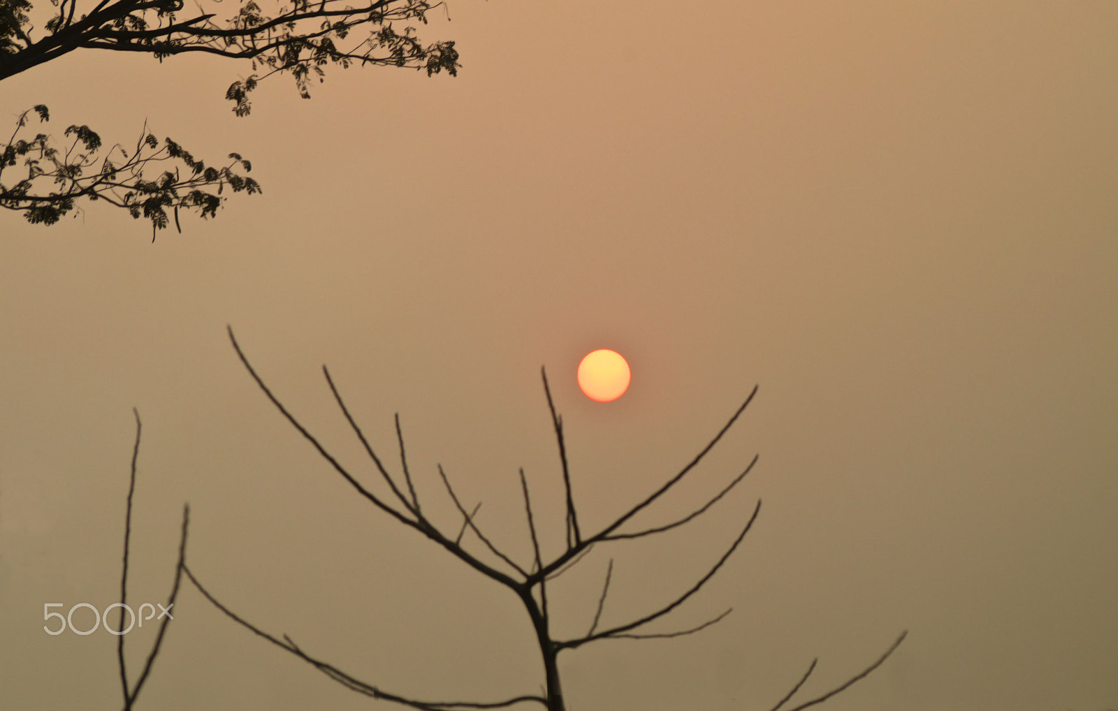 Pentax K-50 + Sigma sample photo. Winter sunset photography