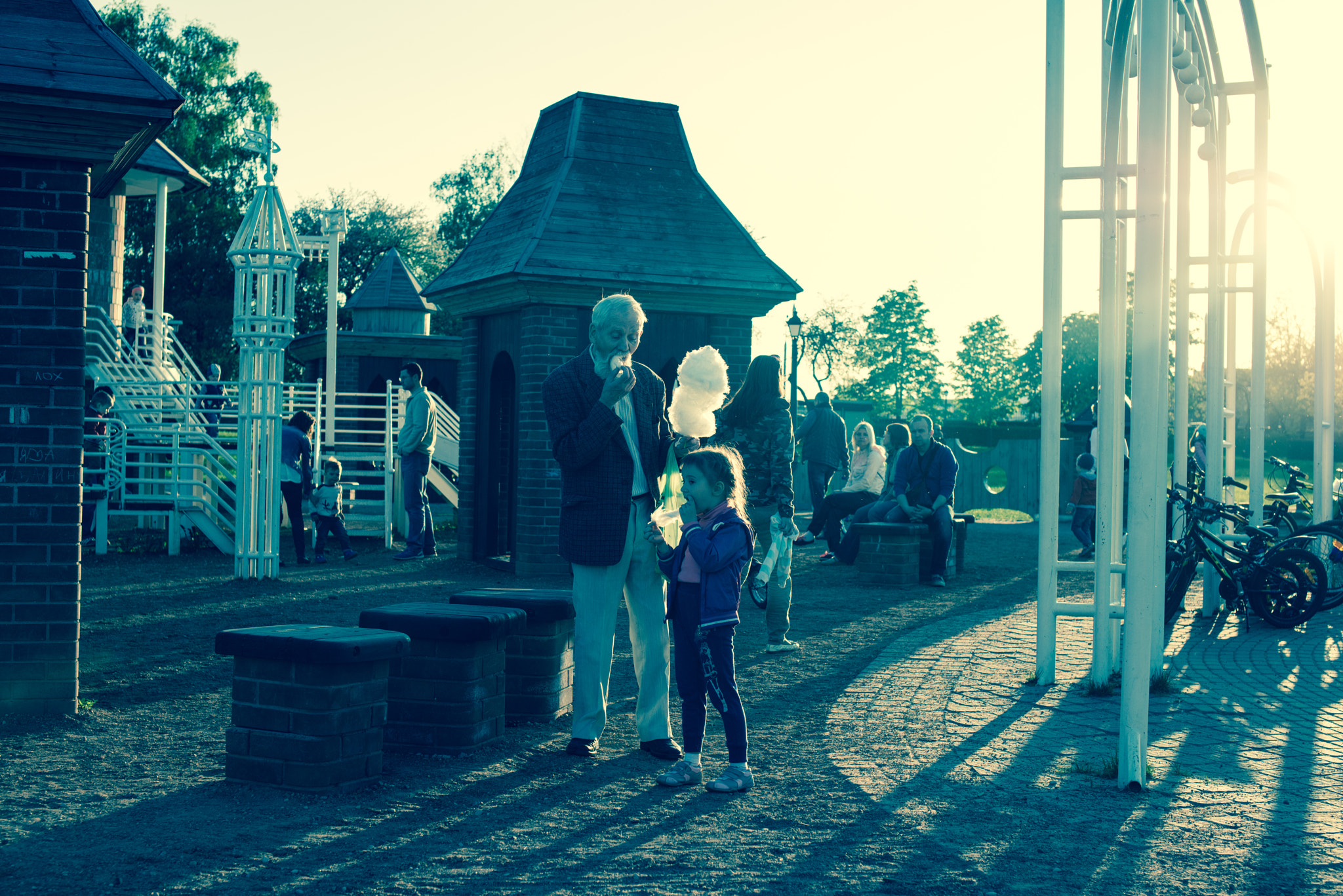 Nikon D800E + Sigma 50mm F1.4 EX DG HSM sample photo. Summer evening in park photography