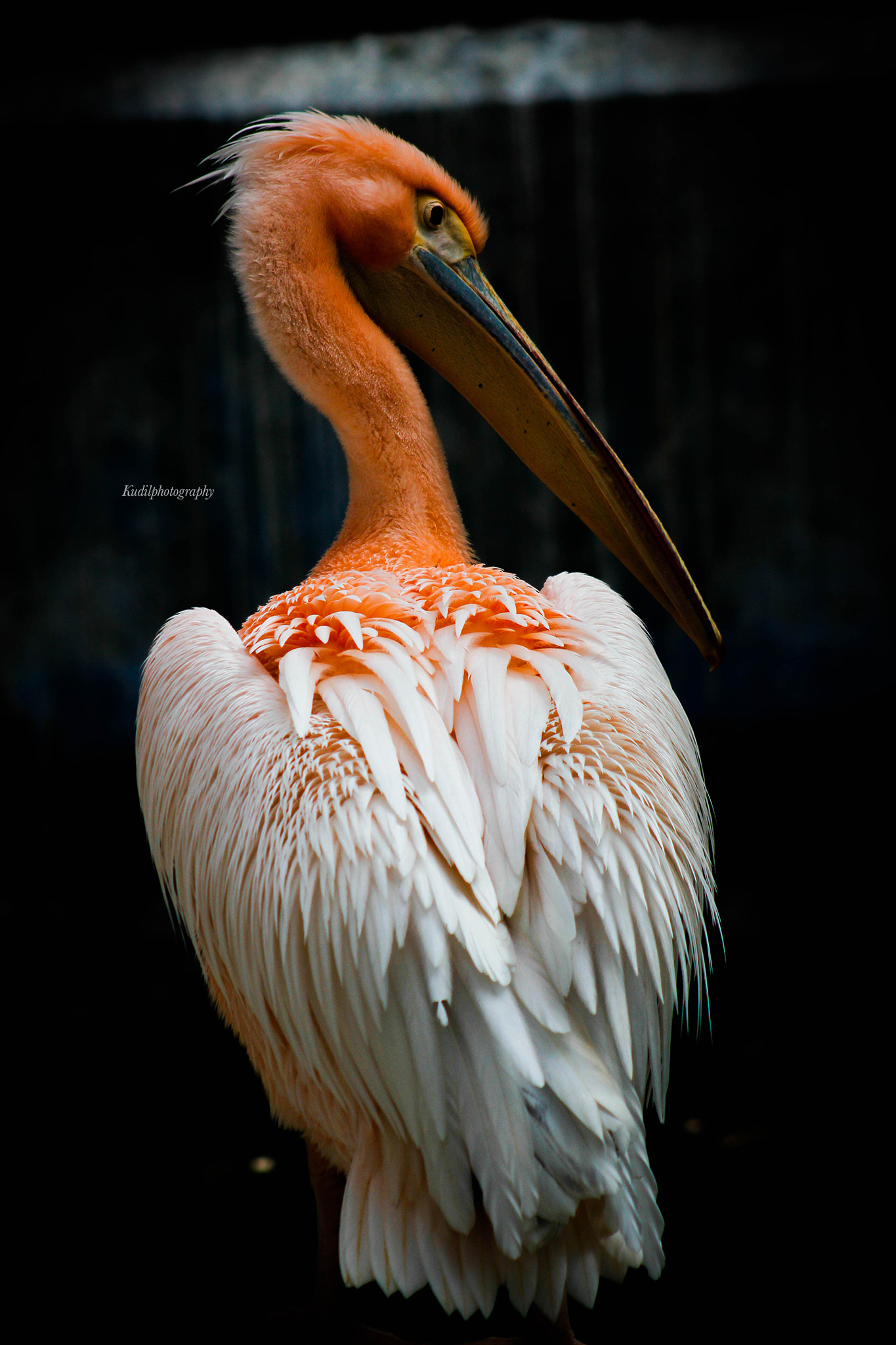 Canon EF 75-300mm f/4-5.6 USM sample photo. View photography