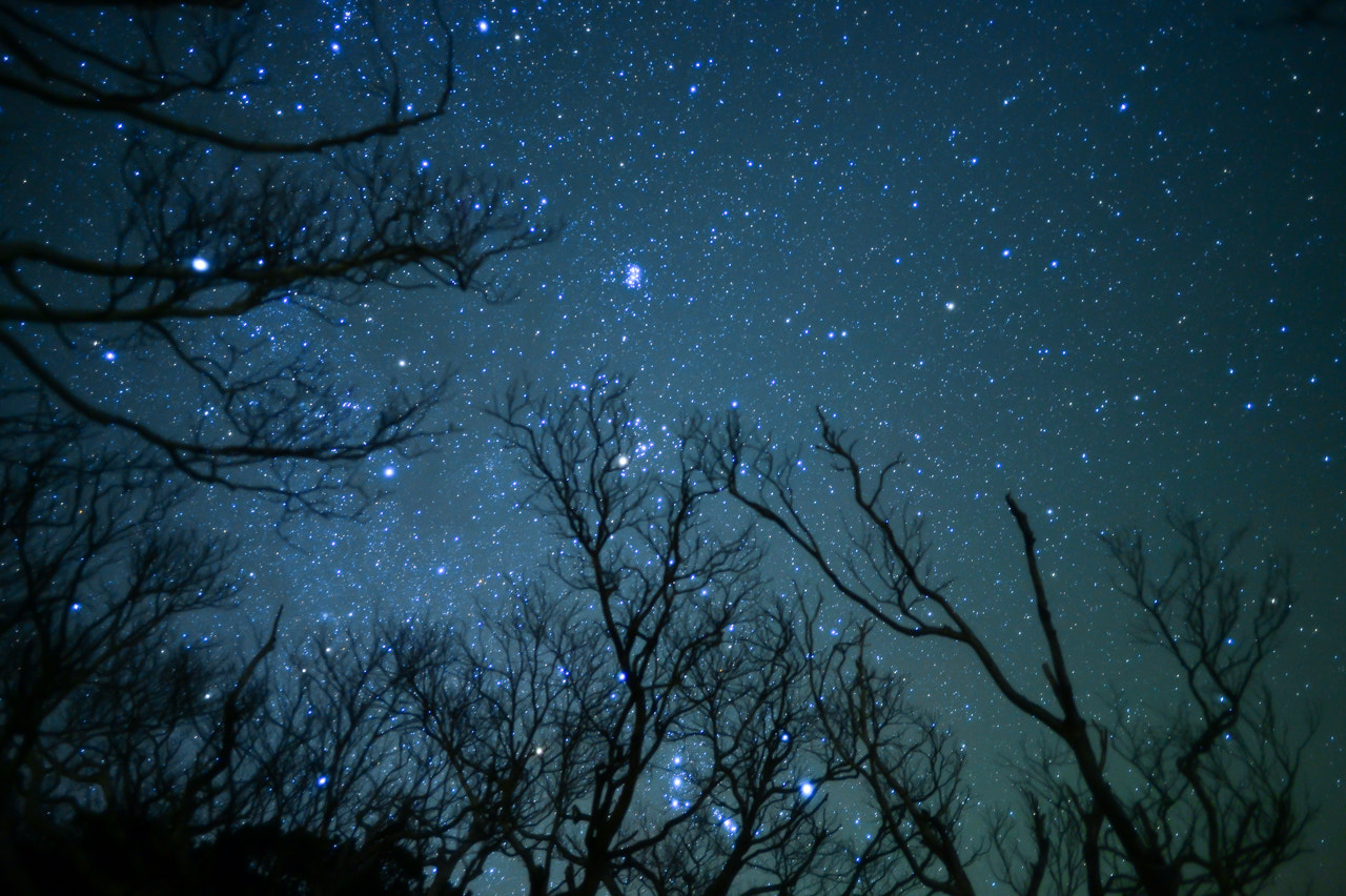 Nikon Df + Nikon AF-S Nikkor 20mm F1.8G ED sample photo. Starry sky photography