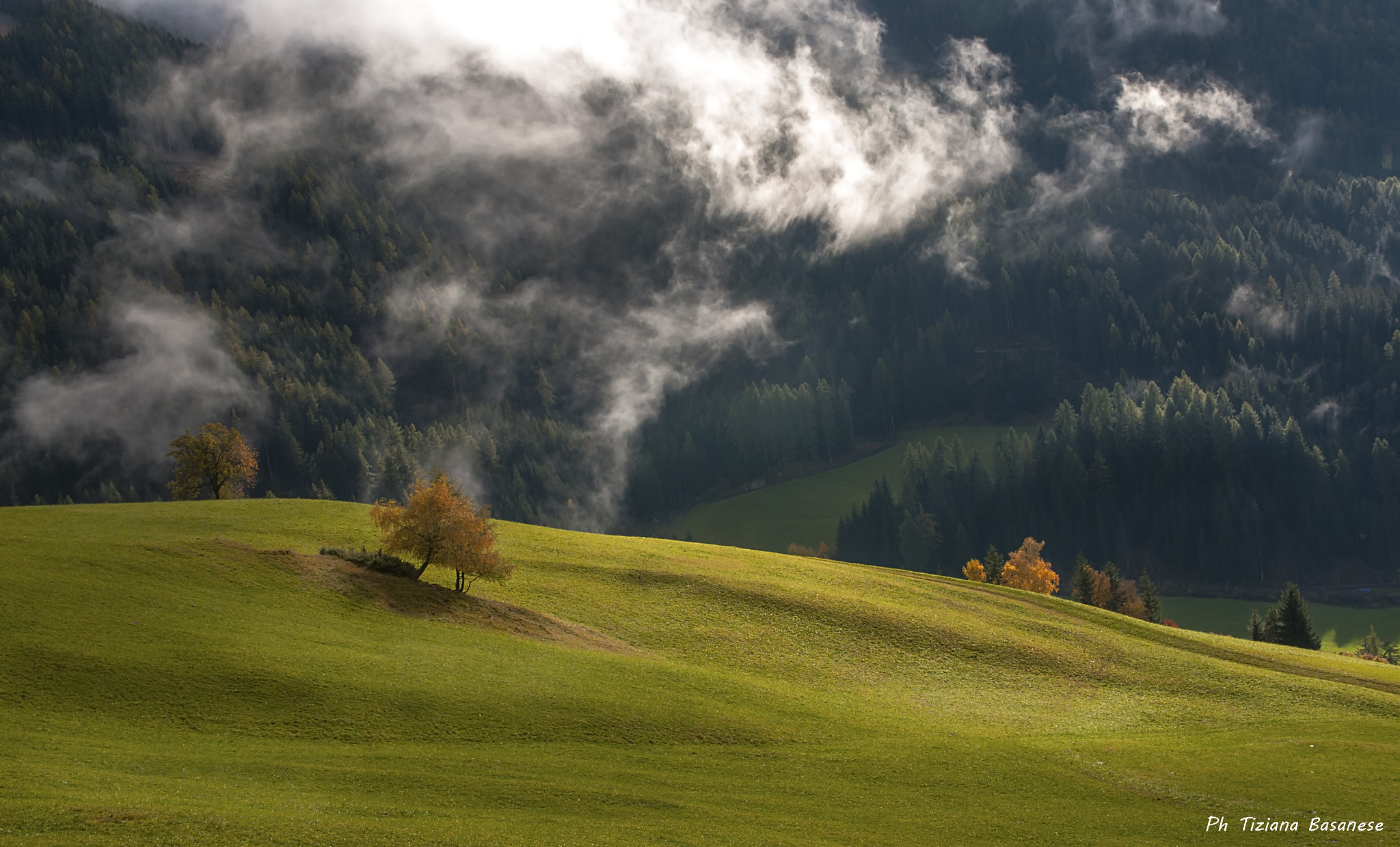 Sigma 17-70mm F2.8-4 DC Macro OS HSM | C sample photo. I luoghi del silenzio... photography