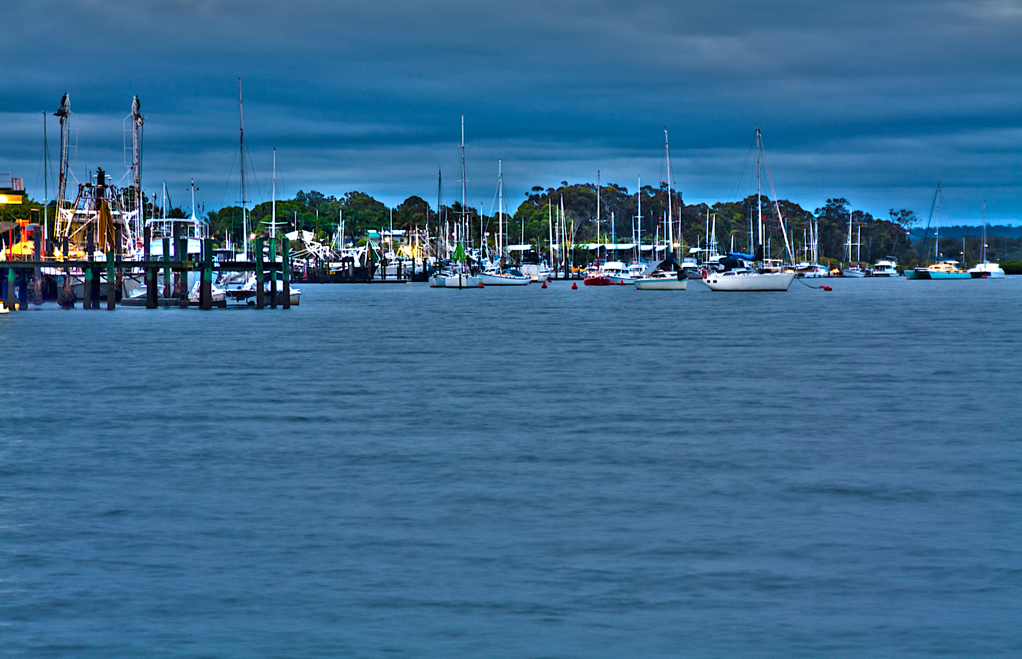 Tamron AF 28-200mm F3.8-5.6 XR Di Aspherical (IF) Macro sample photo. Snapper creek photography