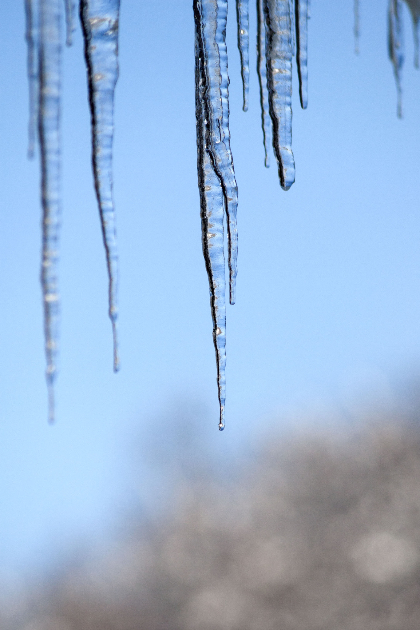 Canon EF 75-300mm F4.0-5.6 IS USM sample photo. Ice photography