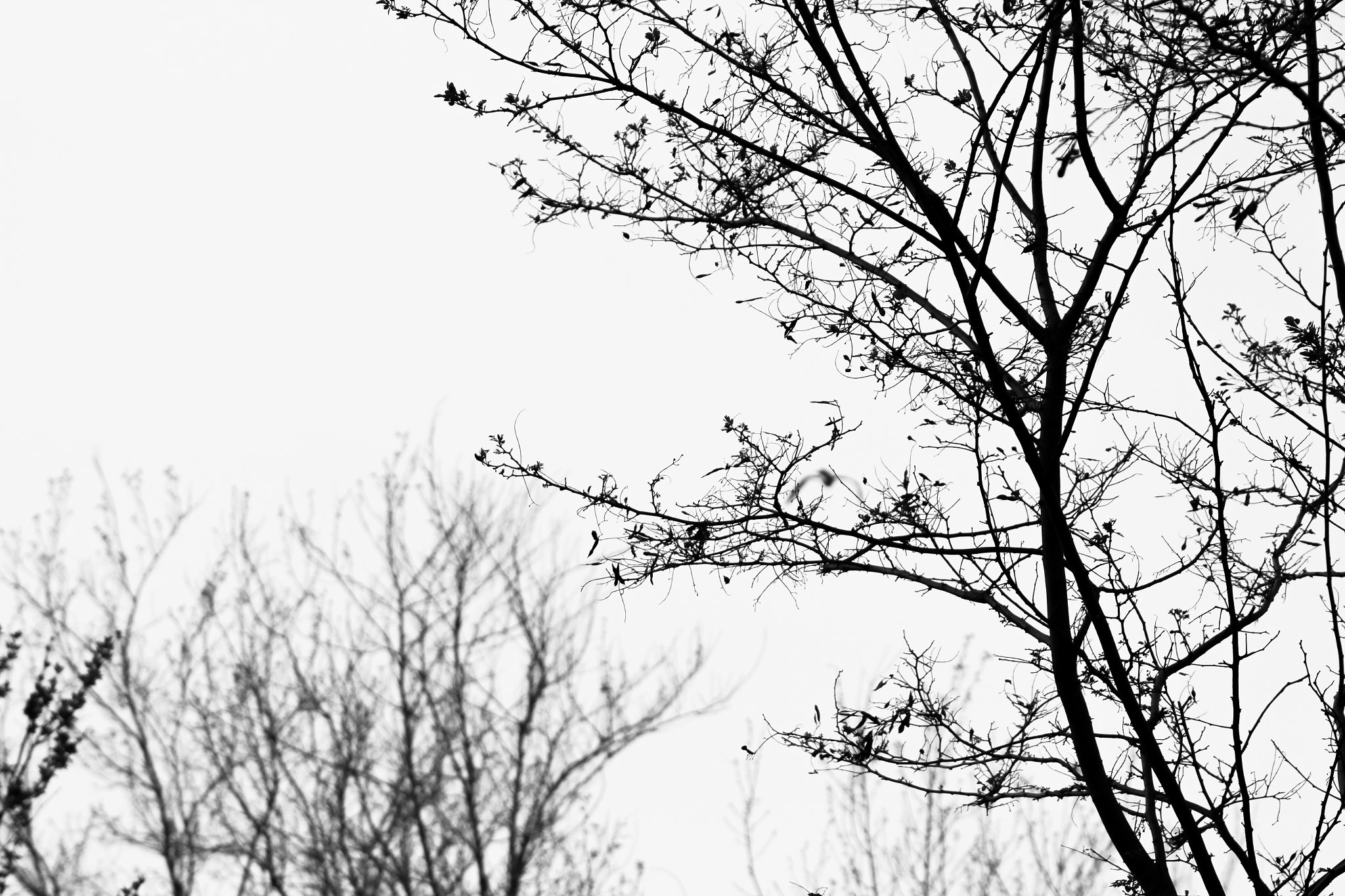 Canon EF 75-300mm f/4-5.6 USM sample photo. Focus... photography