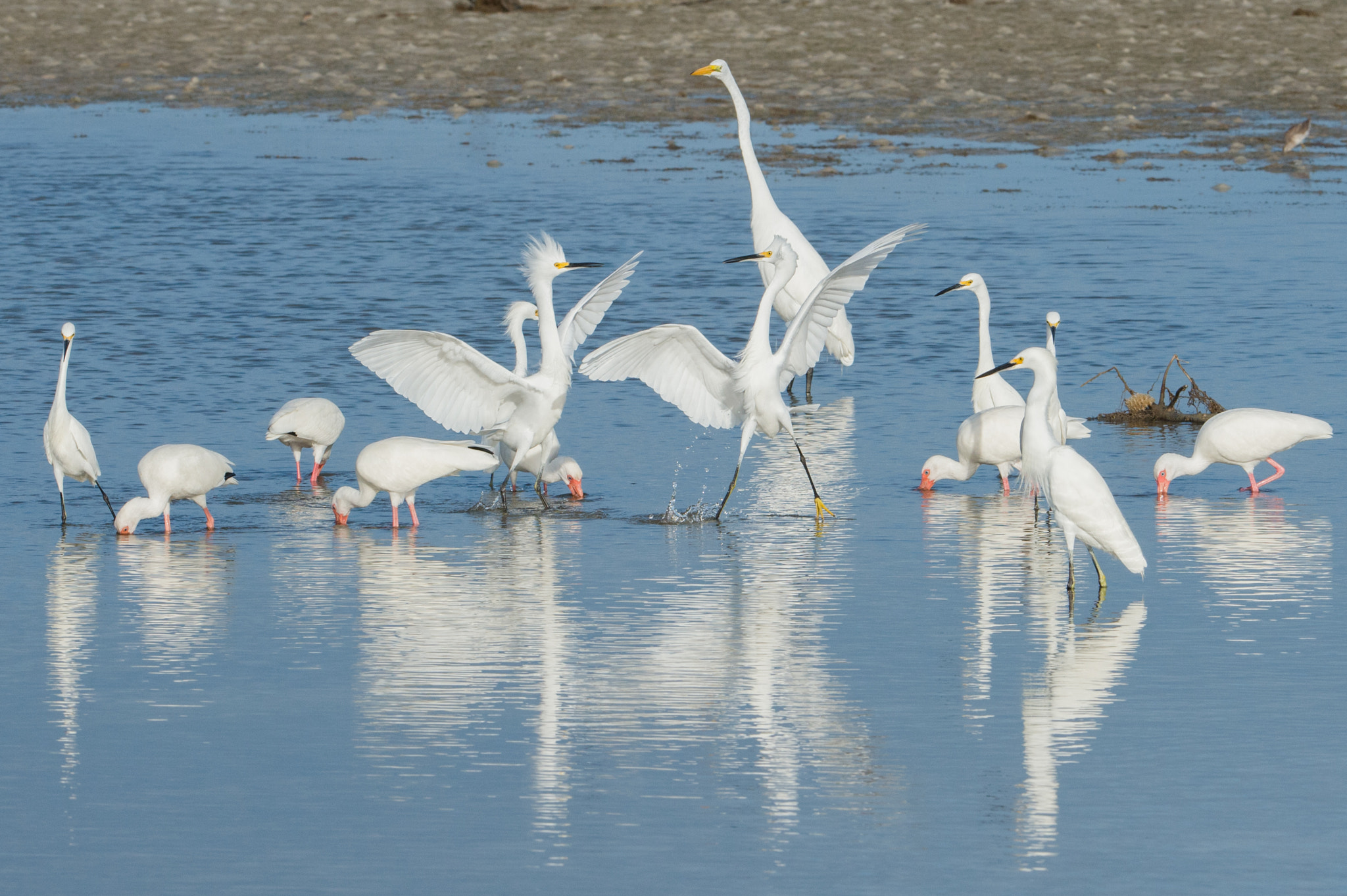 Nikon AF-S Nikkor 200-400mm F4G ED-IF VR sample photo. Snowy dance photography