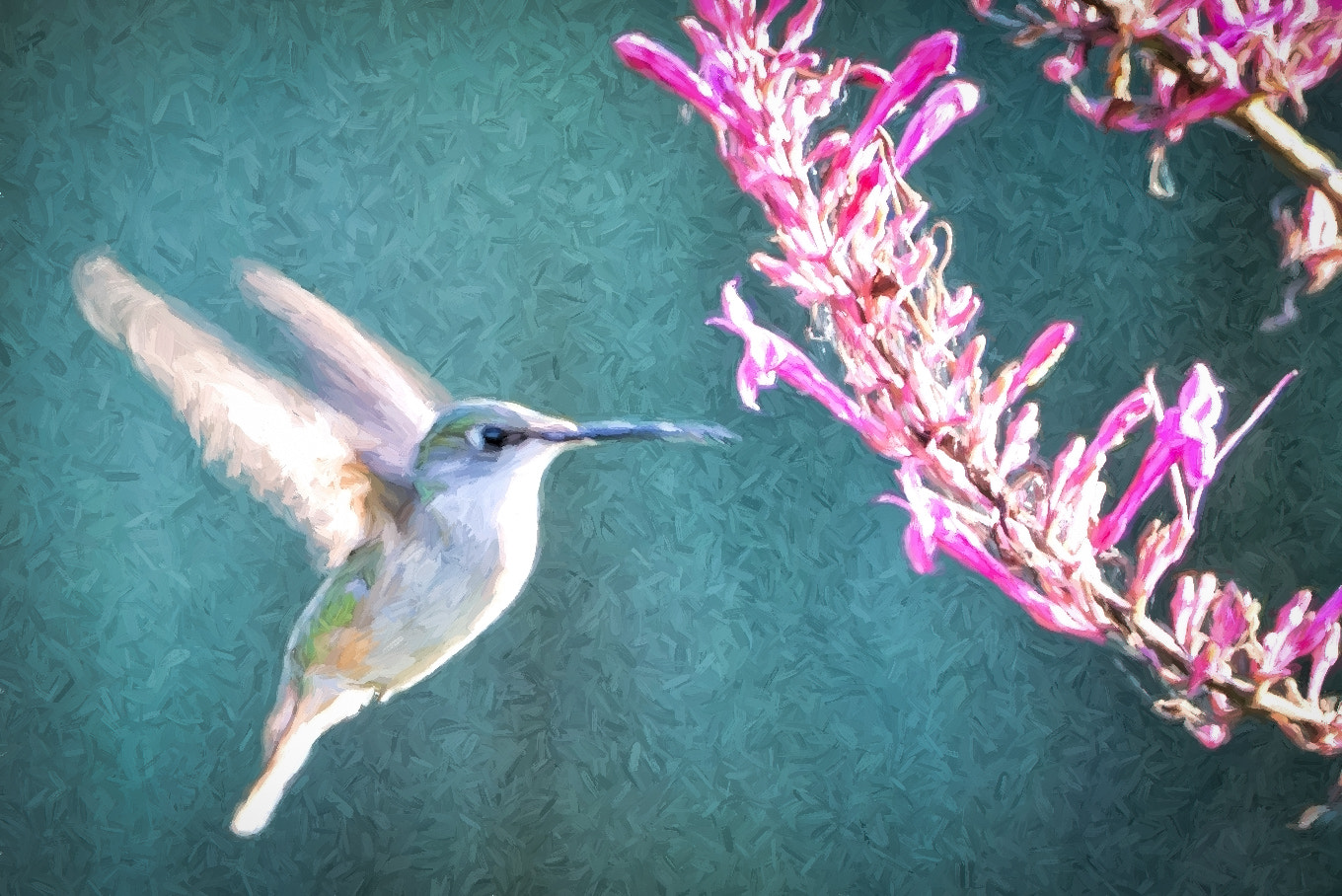 Nikon AF-S Nikkor 200-400mm F4G ED-IF VR sample photo. Hummingbird impresssions photography