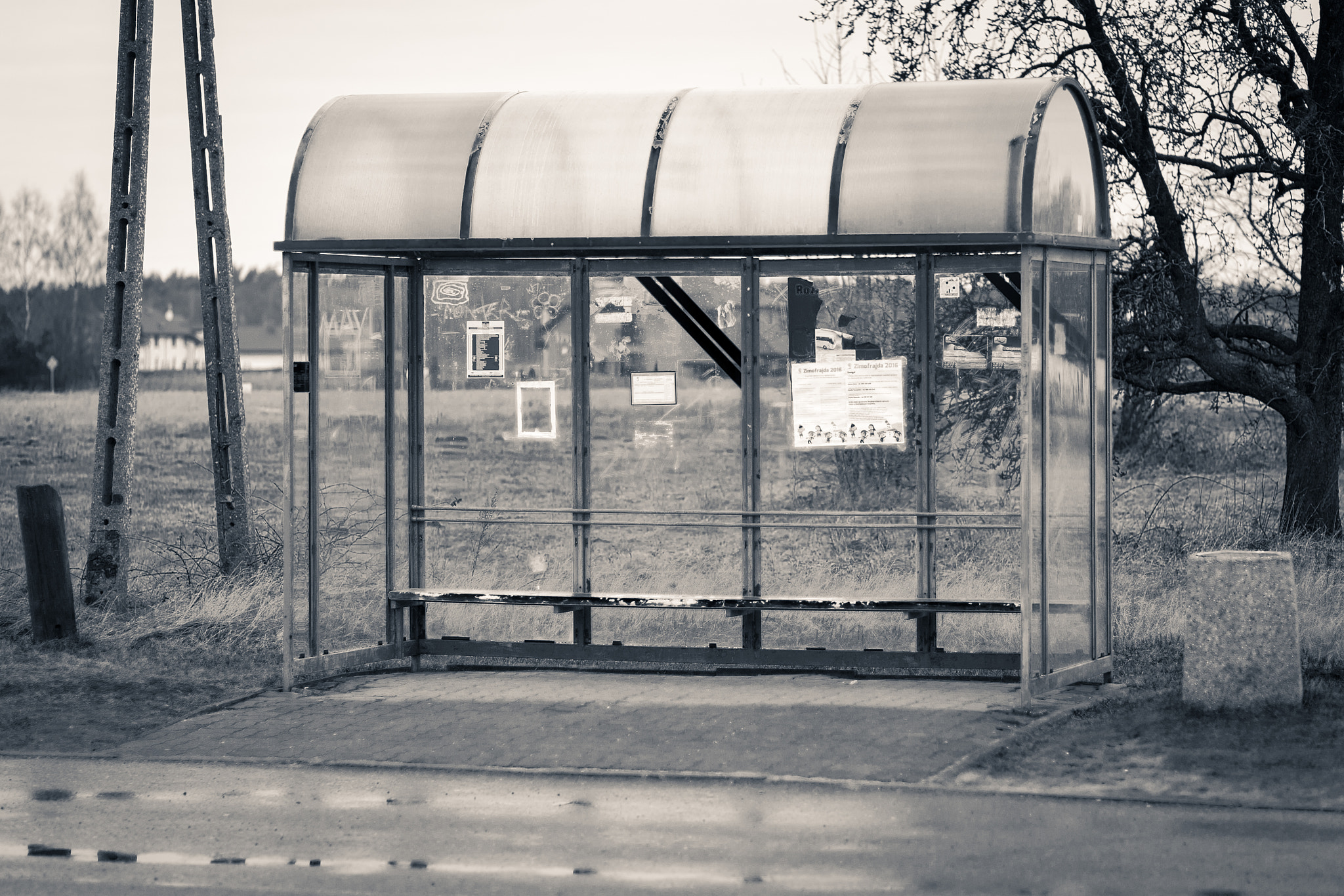 Canon EOS-1D Mark III sample photo. Bus stop in poland... photography