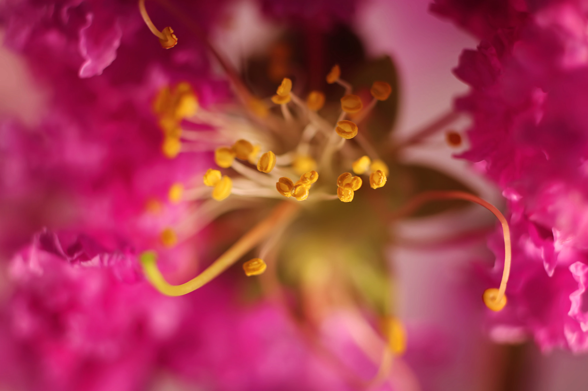Canon EF 50mm F2.5 Macro sample photo. Just one night photography