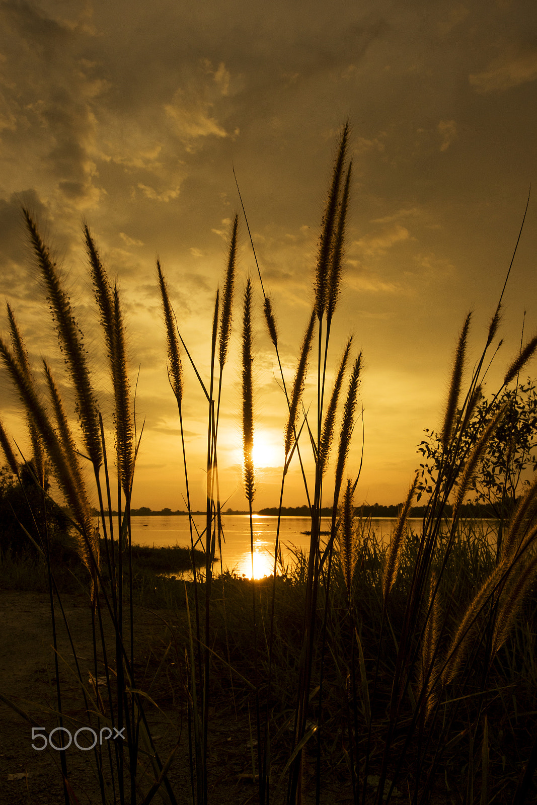 Sigma 8-16mm F4.5-5.6 DC HSM sample photo. 1u5a0332_.jpg photography