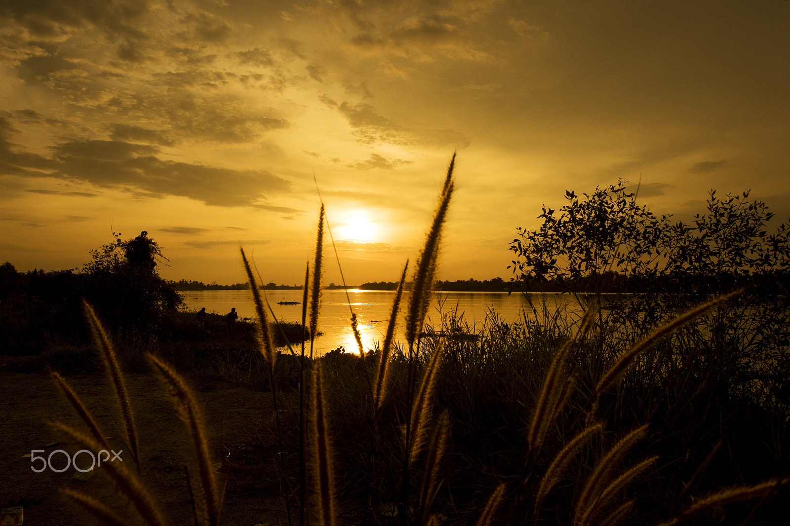 Sigma 8-16mm F4.5-5.6 DC HSM sample photo. 1u5a0330_.jpg photography