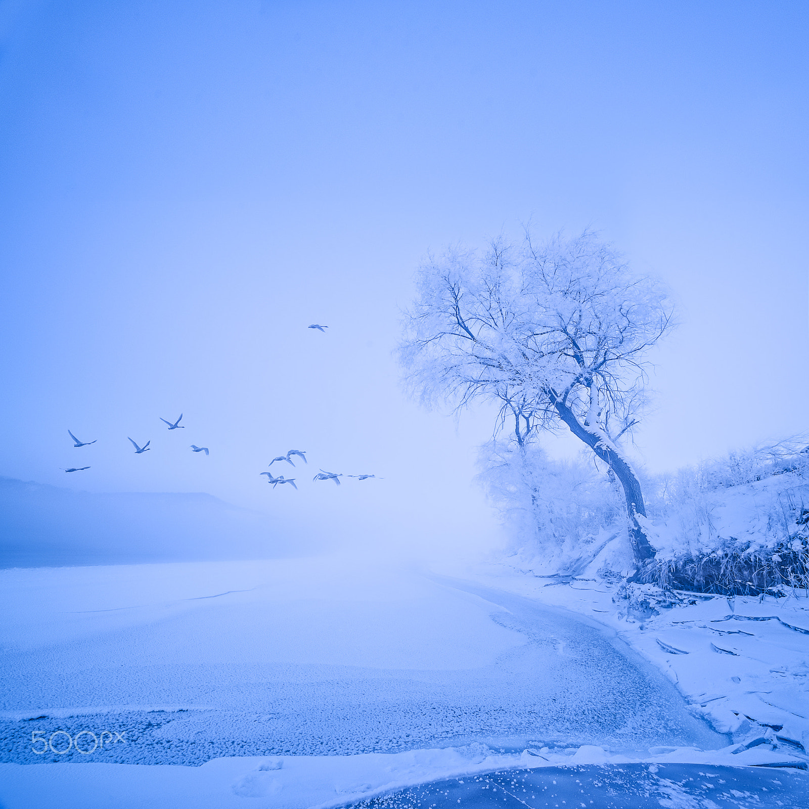 Nikon D800 + Tamron SP AF 10-24mm F3.5-4.5 Di II LD Aspherical (IF) sample photo. The dream was blue. photography