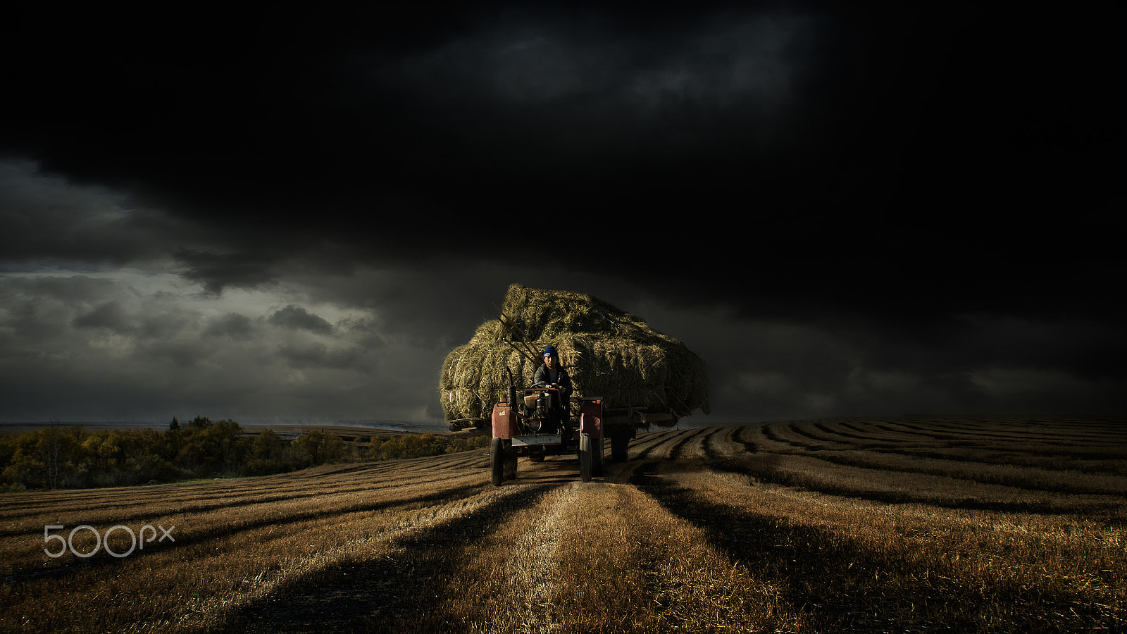 Nikon AF Nikkor 20mm F2.8D sample photo. The autumn oil painting photography