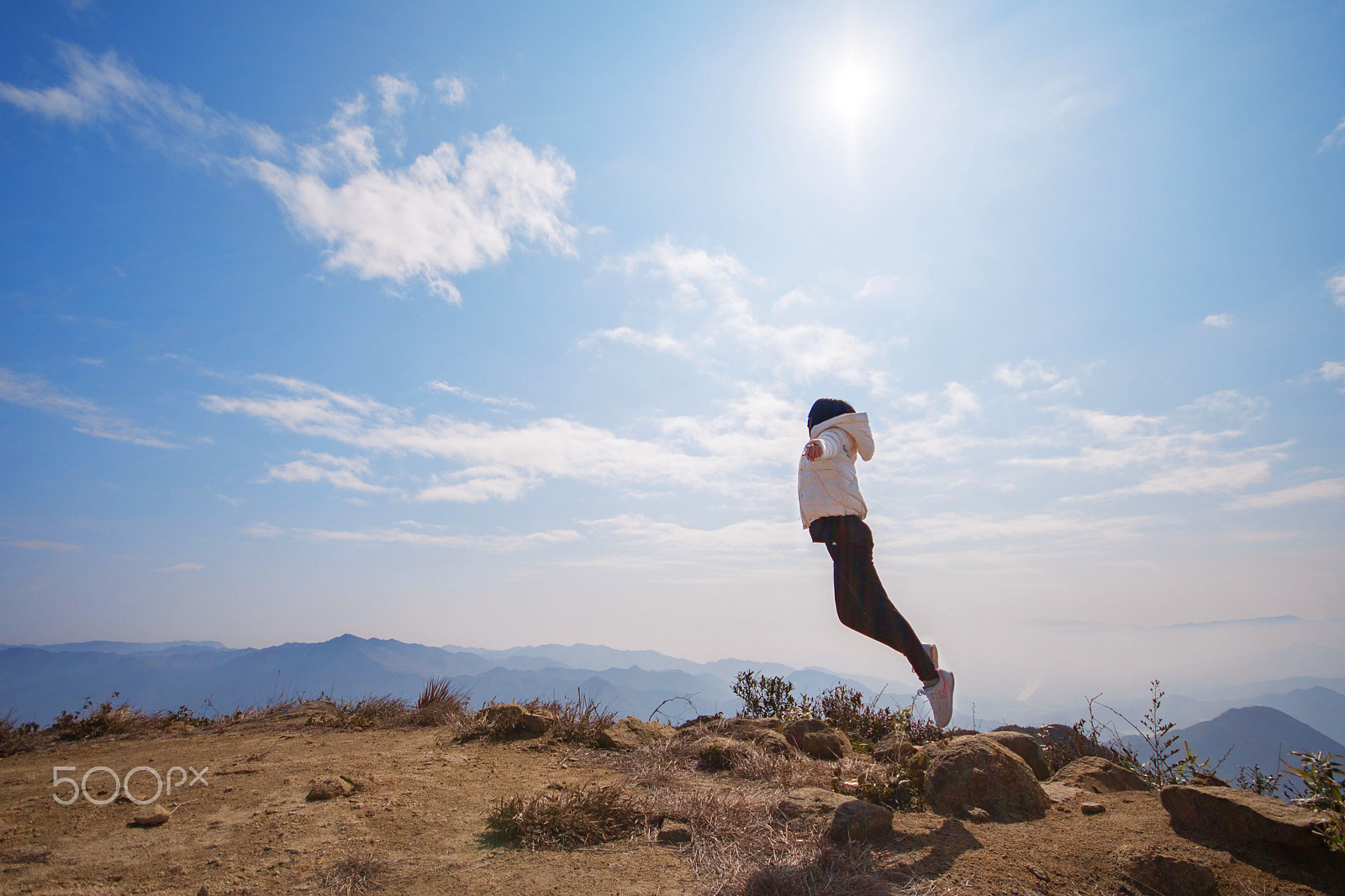 Sigma 10-20mm F4-5.6 EX DC HSM sample photo. Fly photography