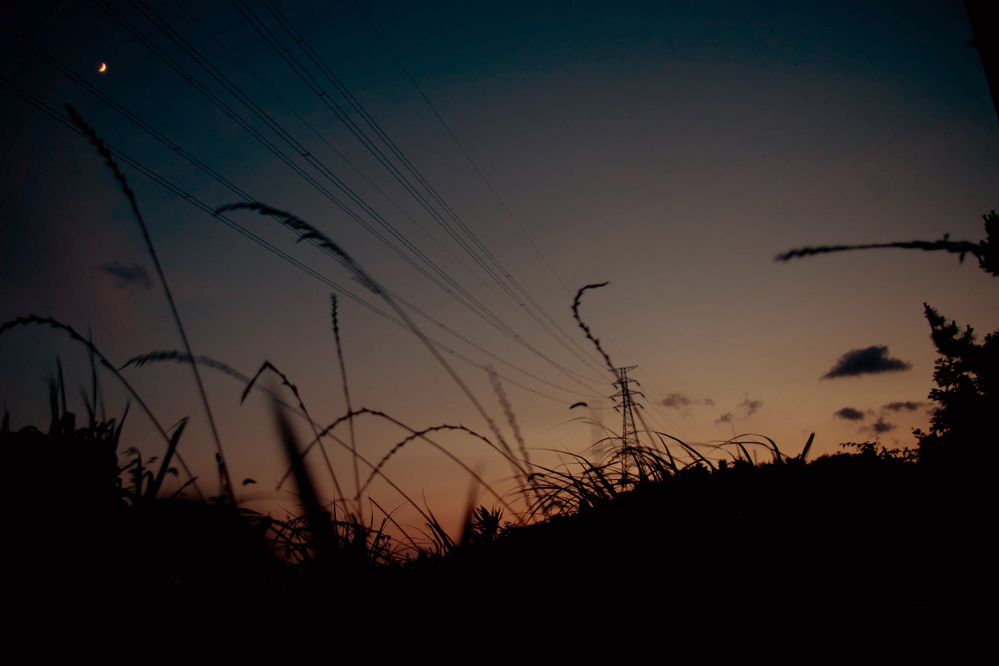 Pentax K100D sample photo. Untitled photography