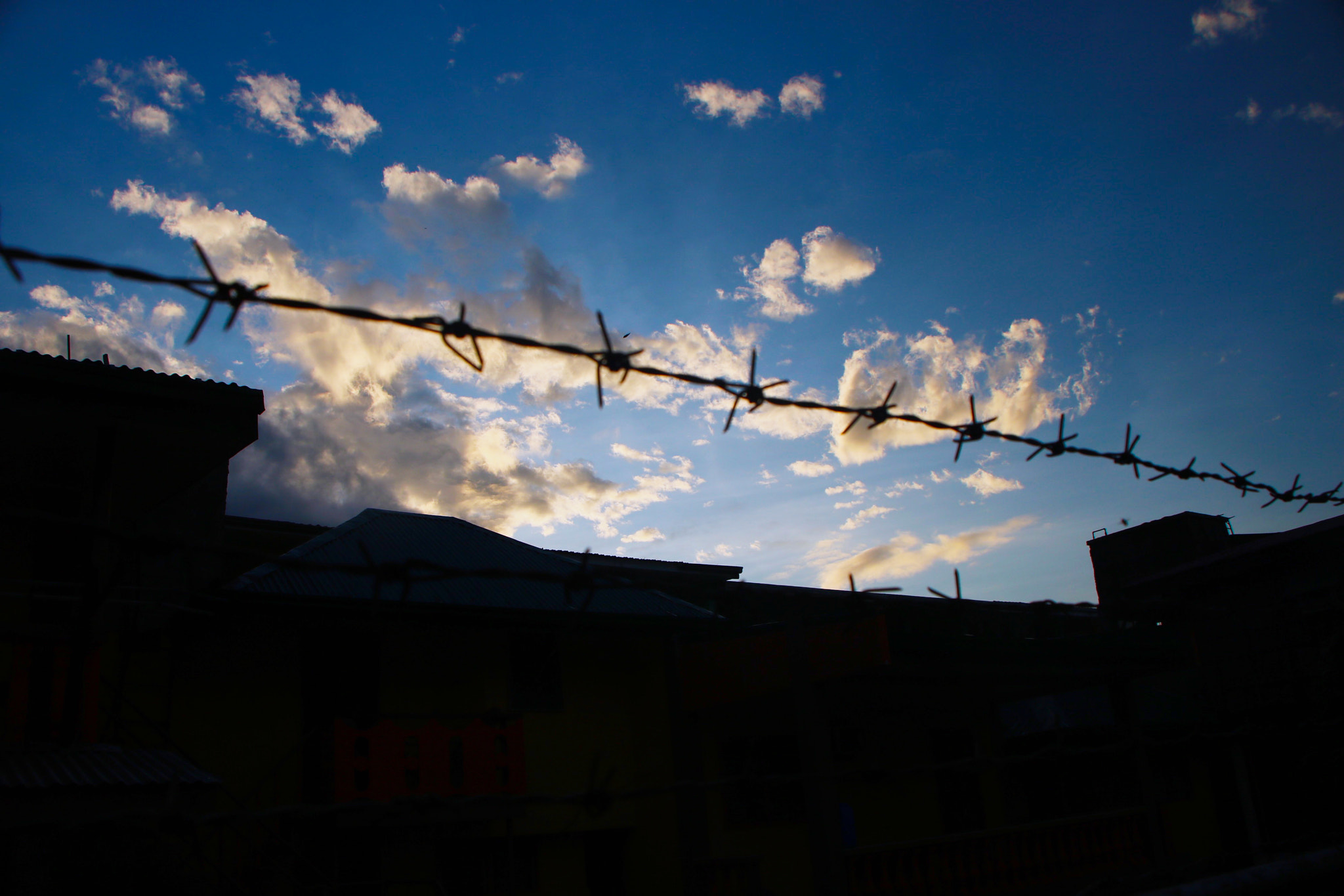 Canon EOS 750D (EOS Rebel T6i / EOS Kiss X8i) sample photo. Barbed. photography