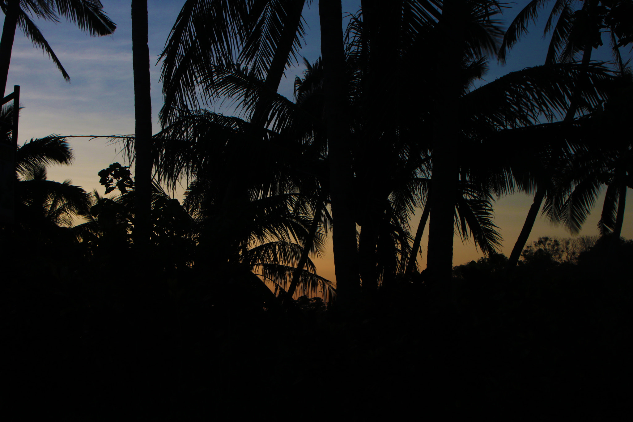 Canon EOS 750D (EOS Rebel T6i / EOS Kiss X8i) sample photo. Silouhette. photography