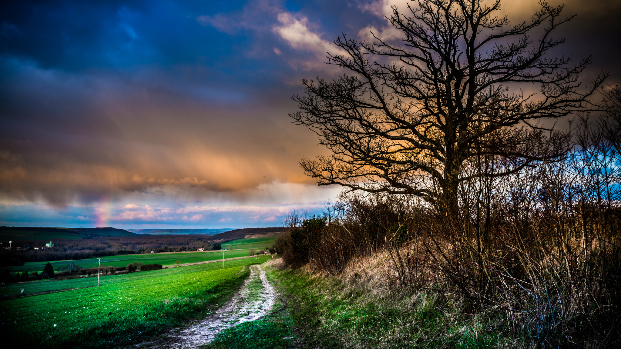 Nikon D800 + AF-S Nikkor 35mm f/1.8G sample photo. Rainbow in stormy sunset photography