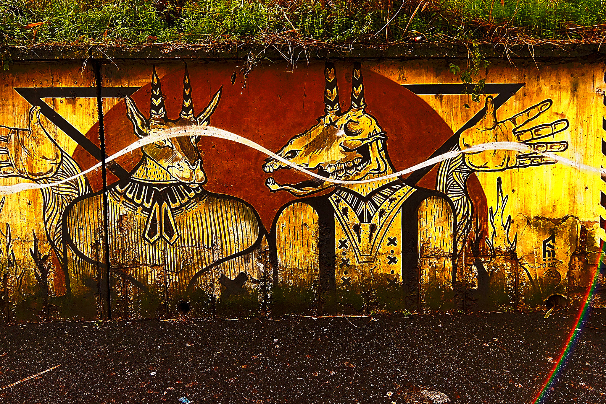 Sony SLT-A65 (SLT-A65V) + 20mm F2.8 sample photo. M.u.ro -museum of urban art of rome photography