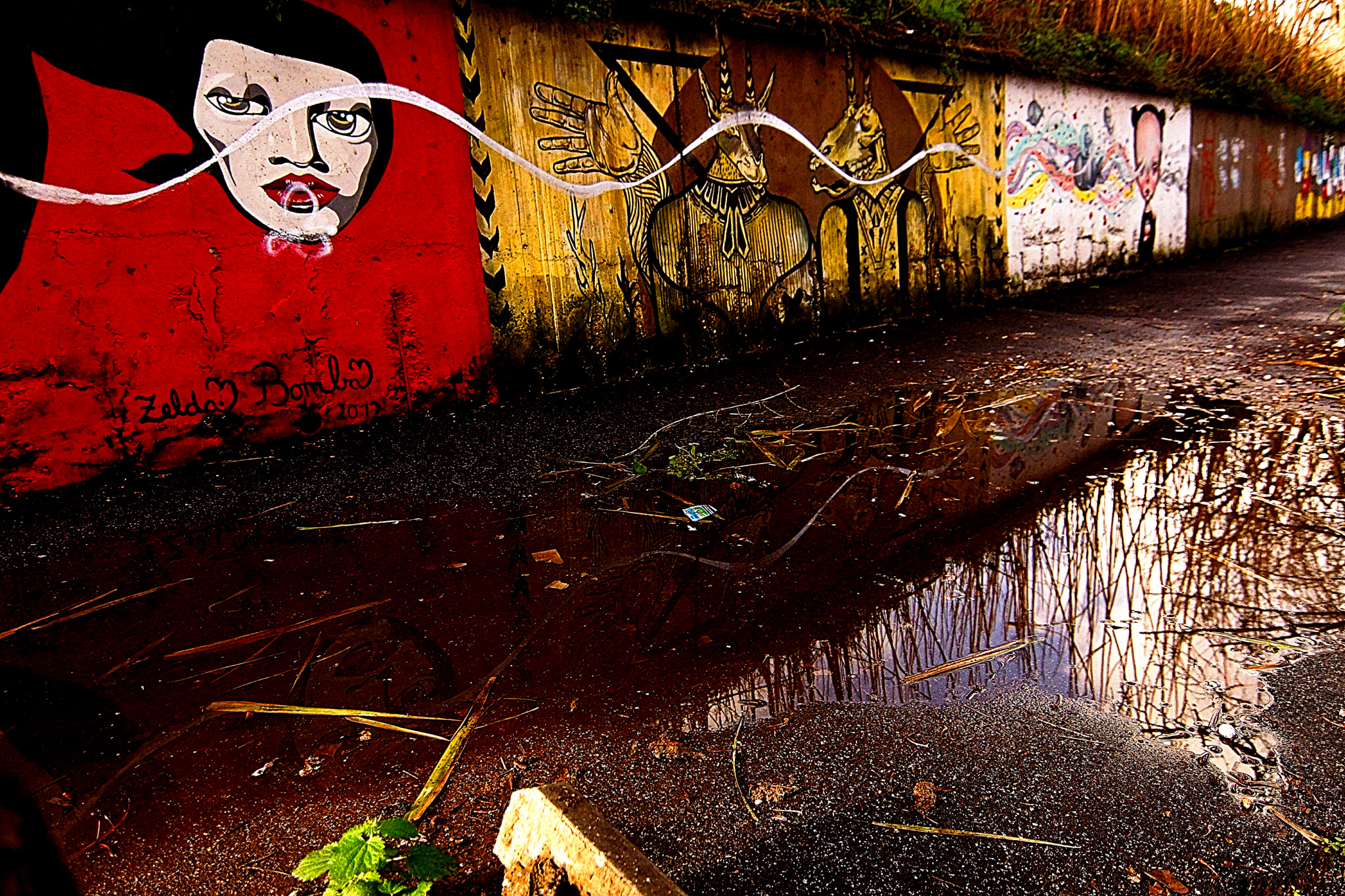 Sony SLT-A65 (SLT-A65V) + 20mm F2.8 sample photo. M.u.ro -museum of urban art of rome photography