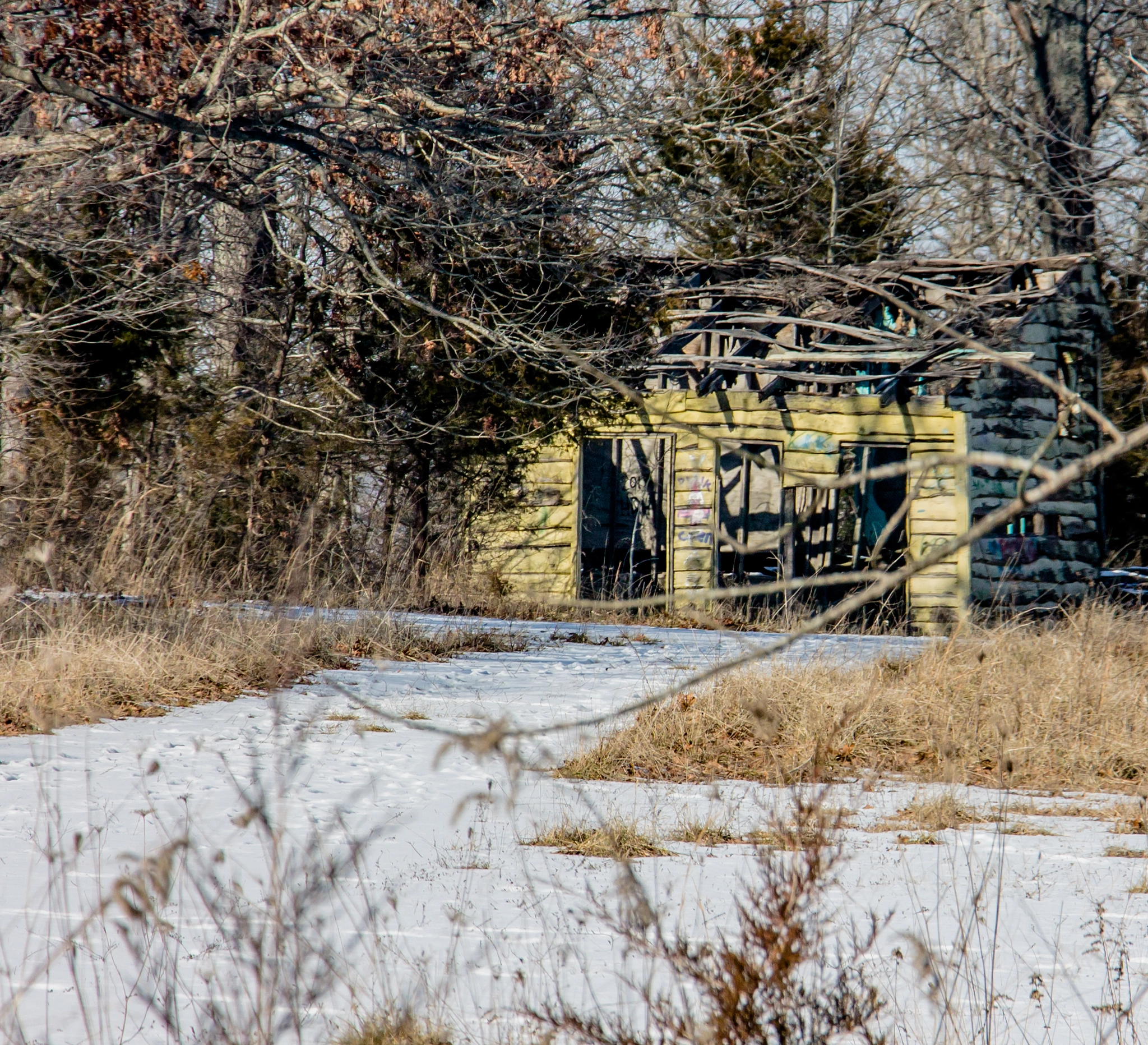 Canon EF-S 18-135mm F3.5-5.6 IS STM sample photo. Shack in the woods photography