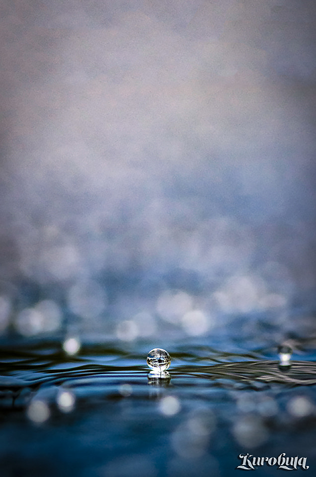 Pentax smc D-FA 100mm F2.8 Macro WR sample photo. 水玉 photography