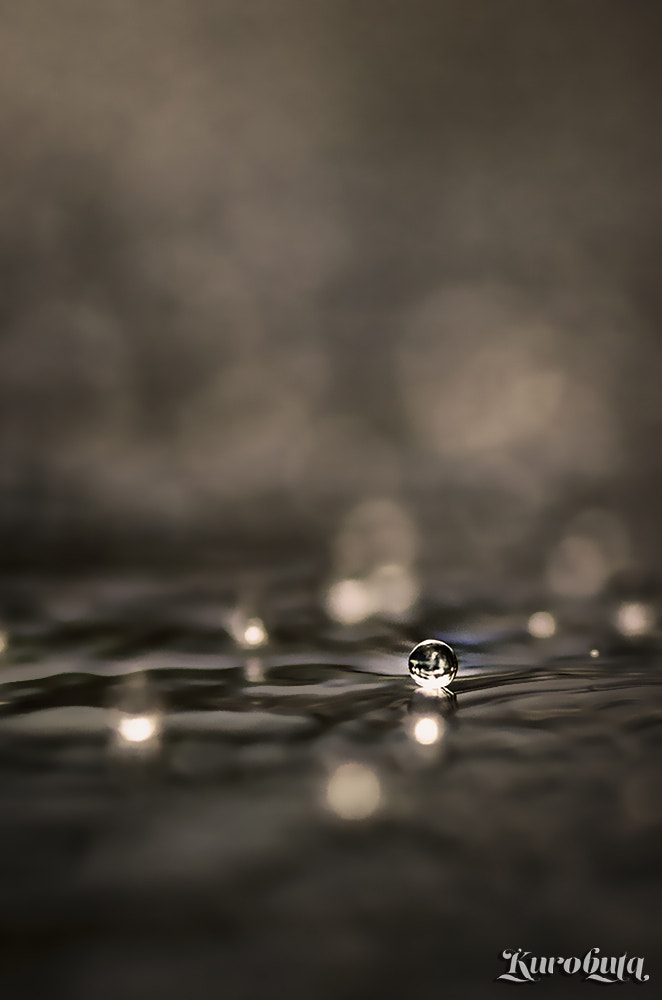 Pentax smc D-FA 100mm F2.8 Macro WR sample photo. 水玉 photography