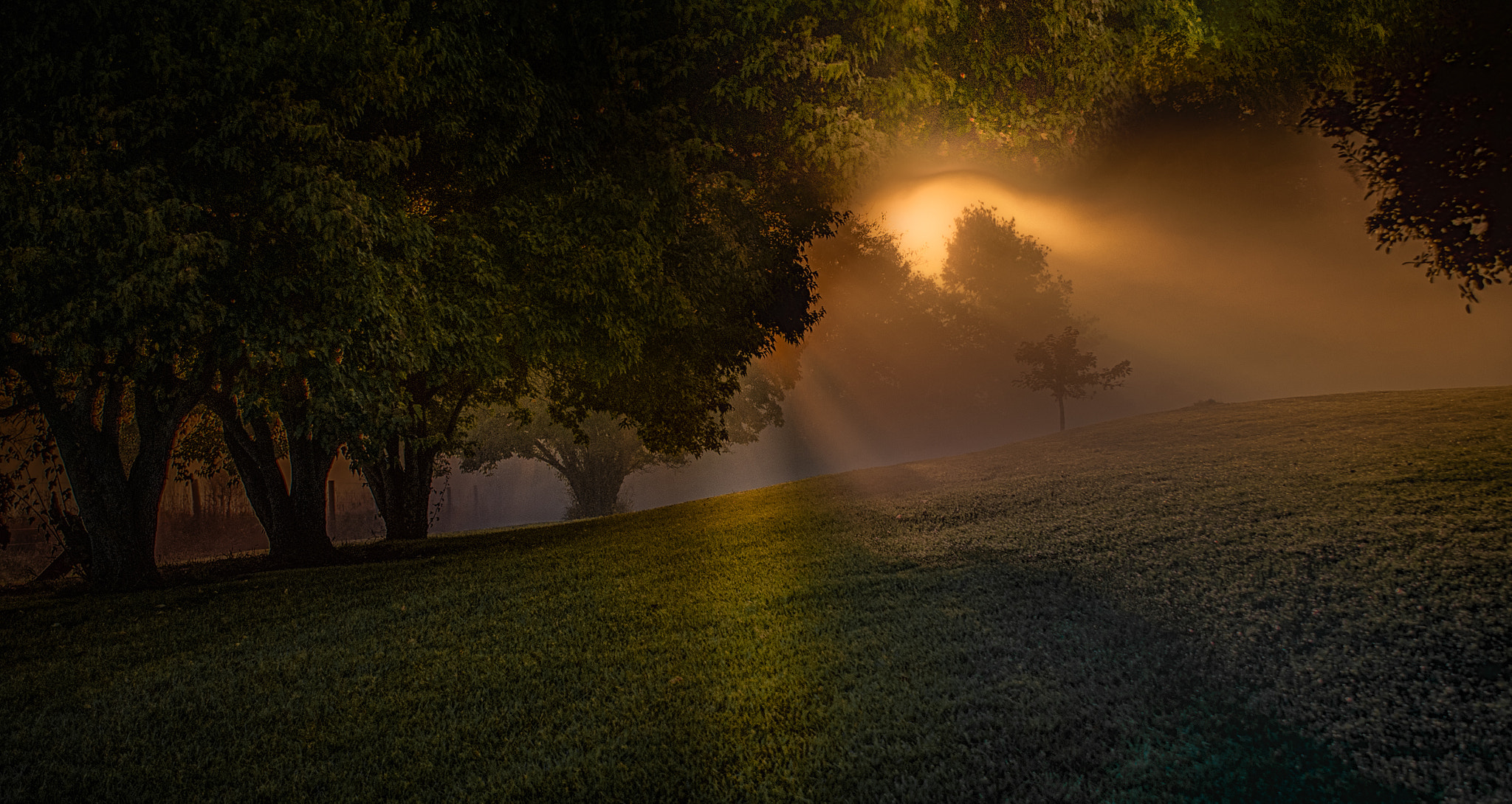 Nikon AF-S Nikkor 28-70mm F2.8 ED-IF sample photo. Morning daydream photography