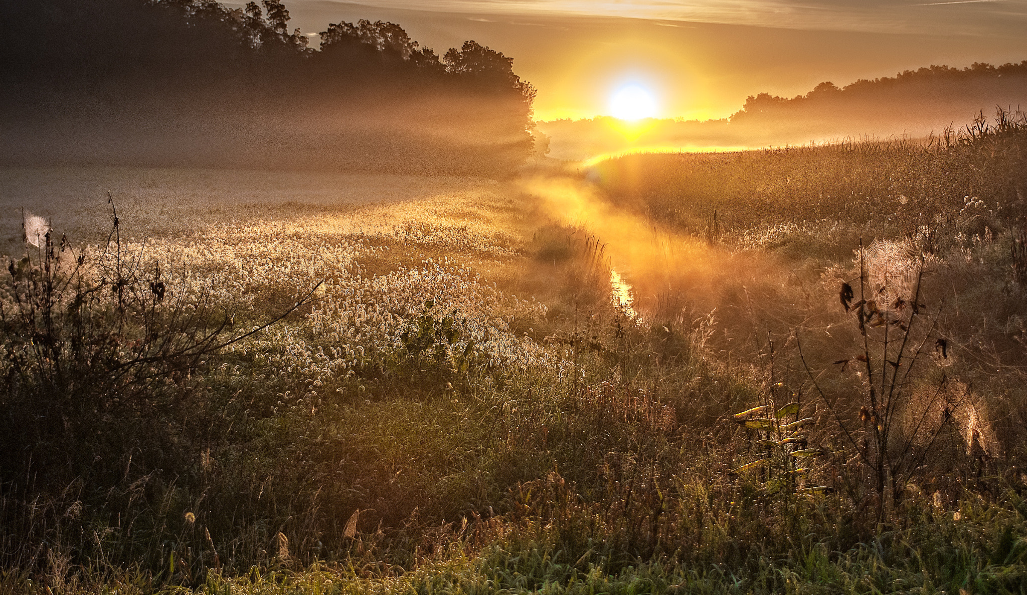 Nikon AF-S Nikkor 28-70mm F2.8 ED-IF sample photo. Sunrise haze photography