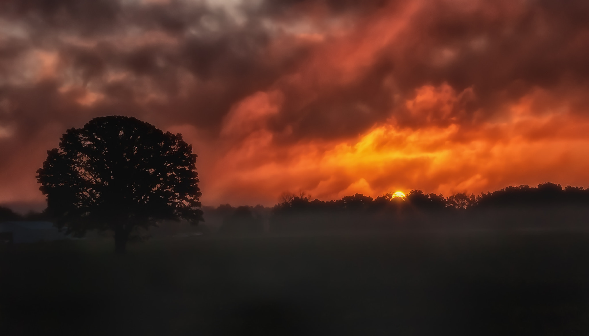 Nikon AF-S Nikkor 28-70mm F2.8 ED-IF sample photo. Red dawn photography