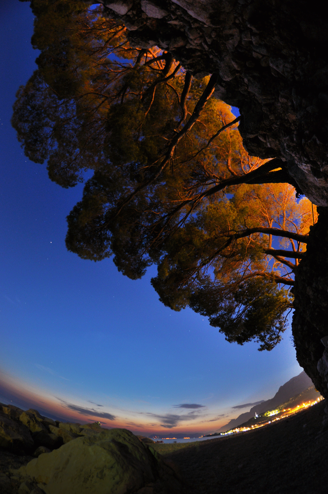 Nikon D90 + Samyang 8mm F3.5 Aspherical IF MC Fisheye sample photo. Untitled photography