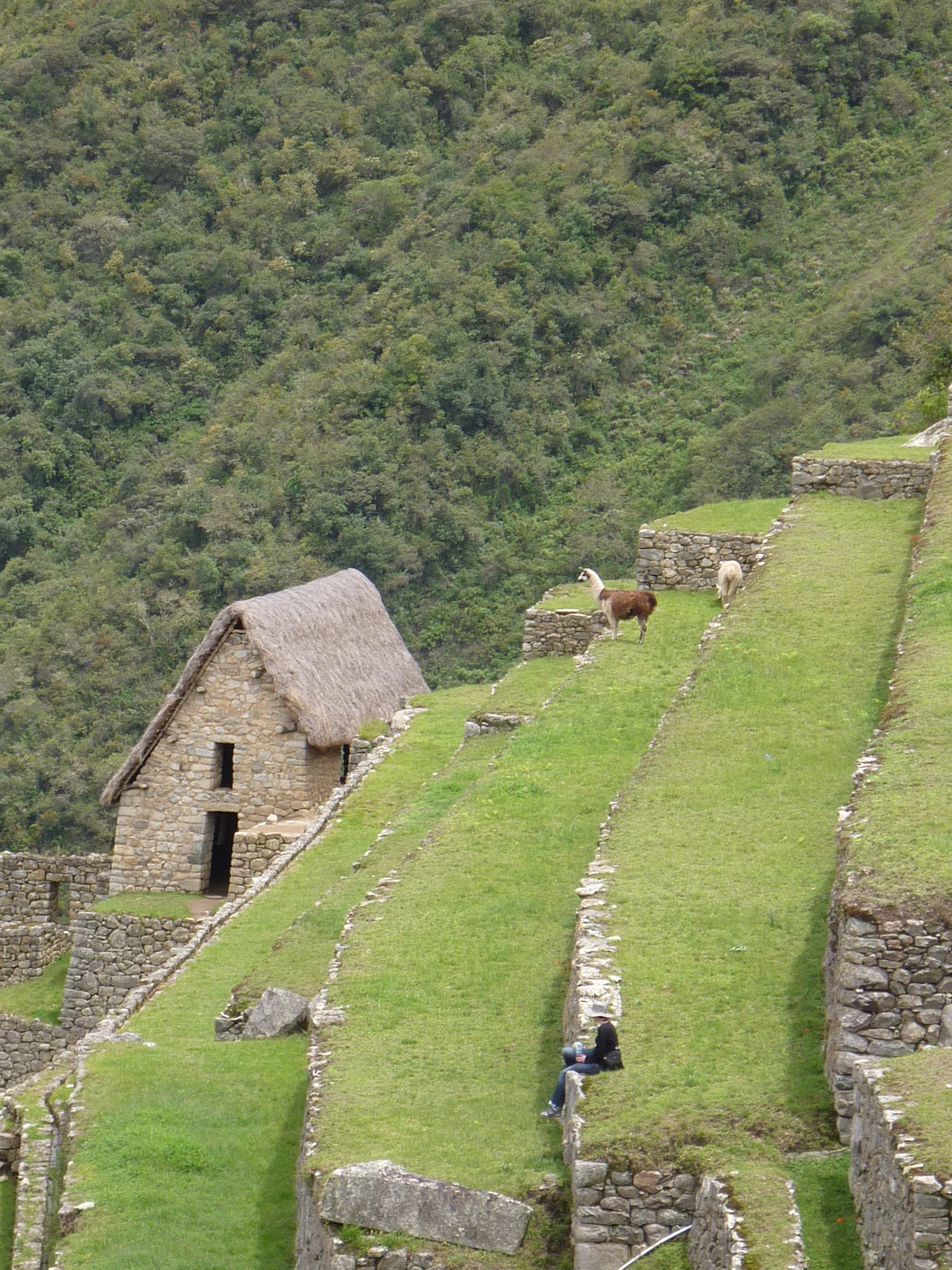 Panasonic DMC-FS12 sample photo. Machu picchu photography