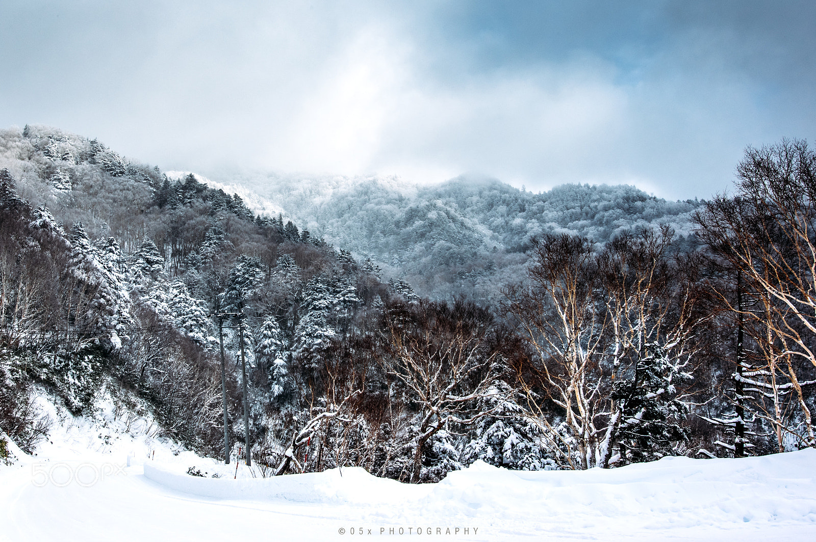 Pentax K-3 sample photo. Cold forest photography