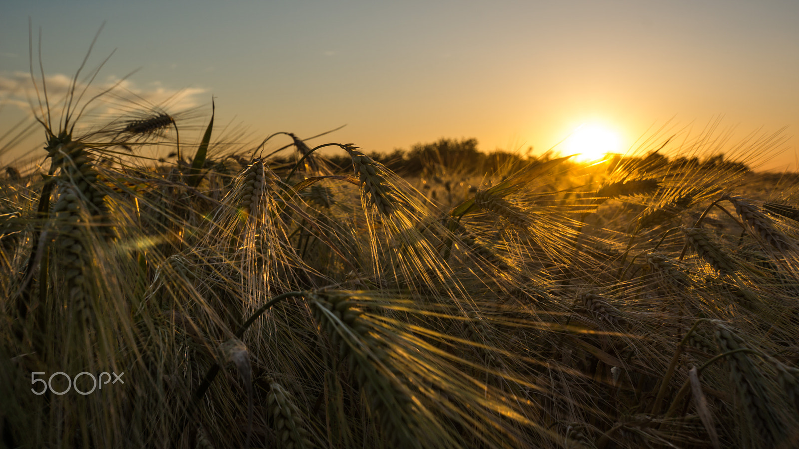 Sony E 18-200mm F3.5-6.3 OSS LE sample photo. Barley sunset photography